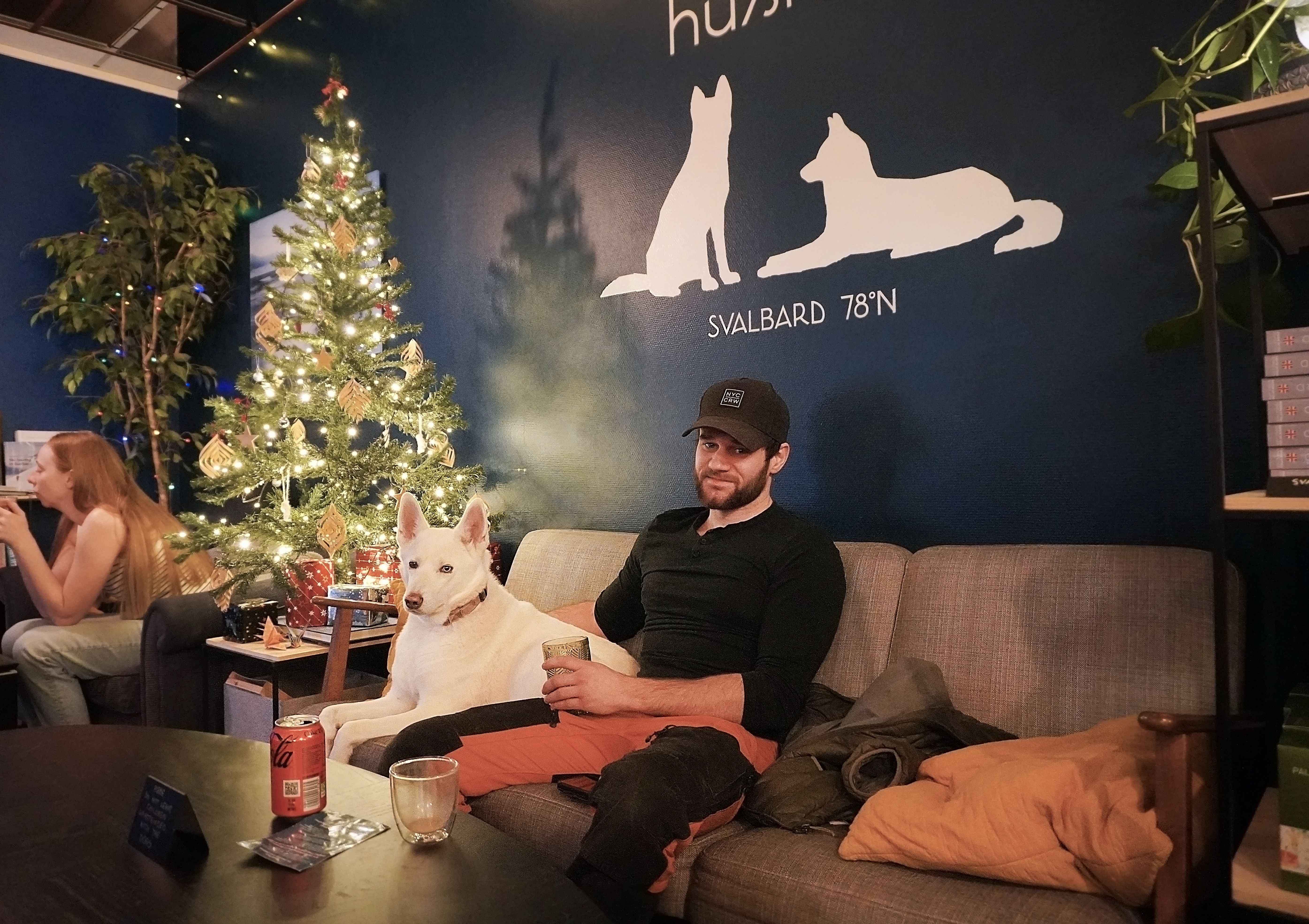 Husky in a sofa in a cafe