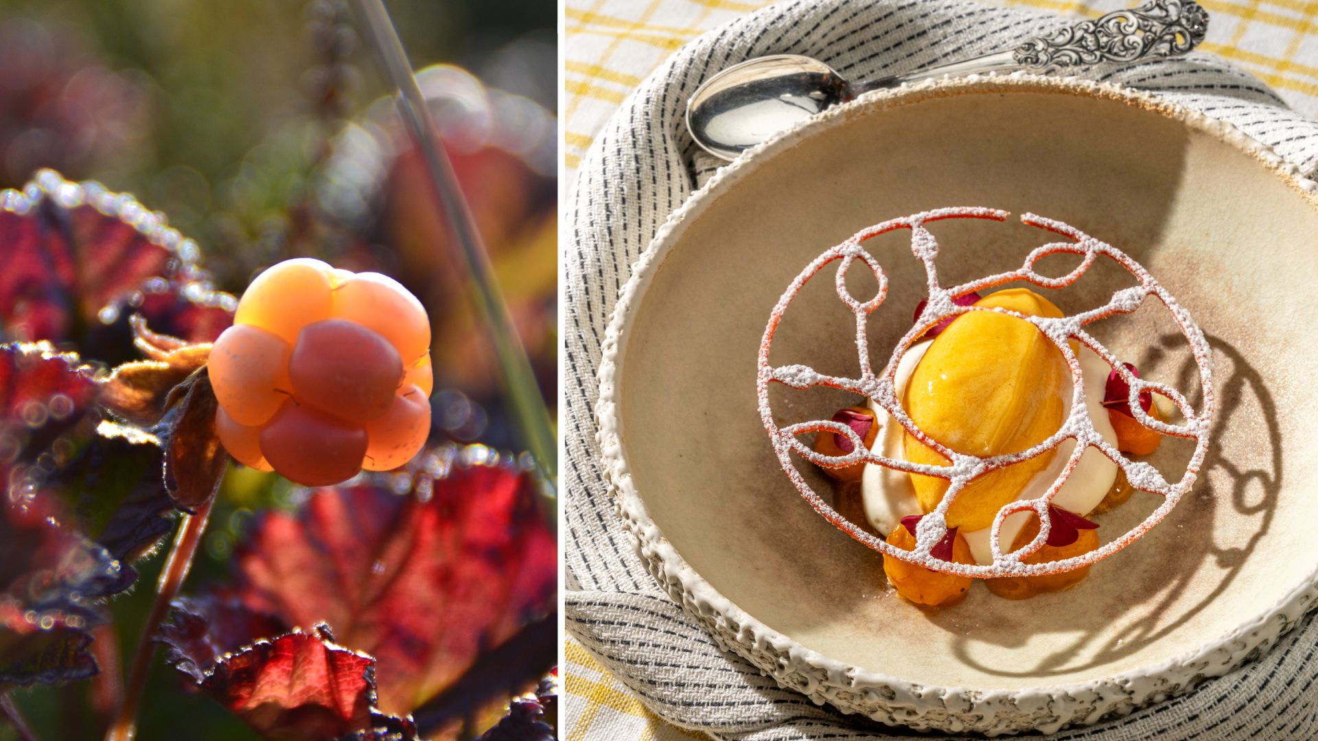 A collage with a  clouberry and and a plate with cloudberry sorbet