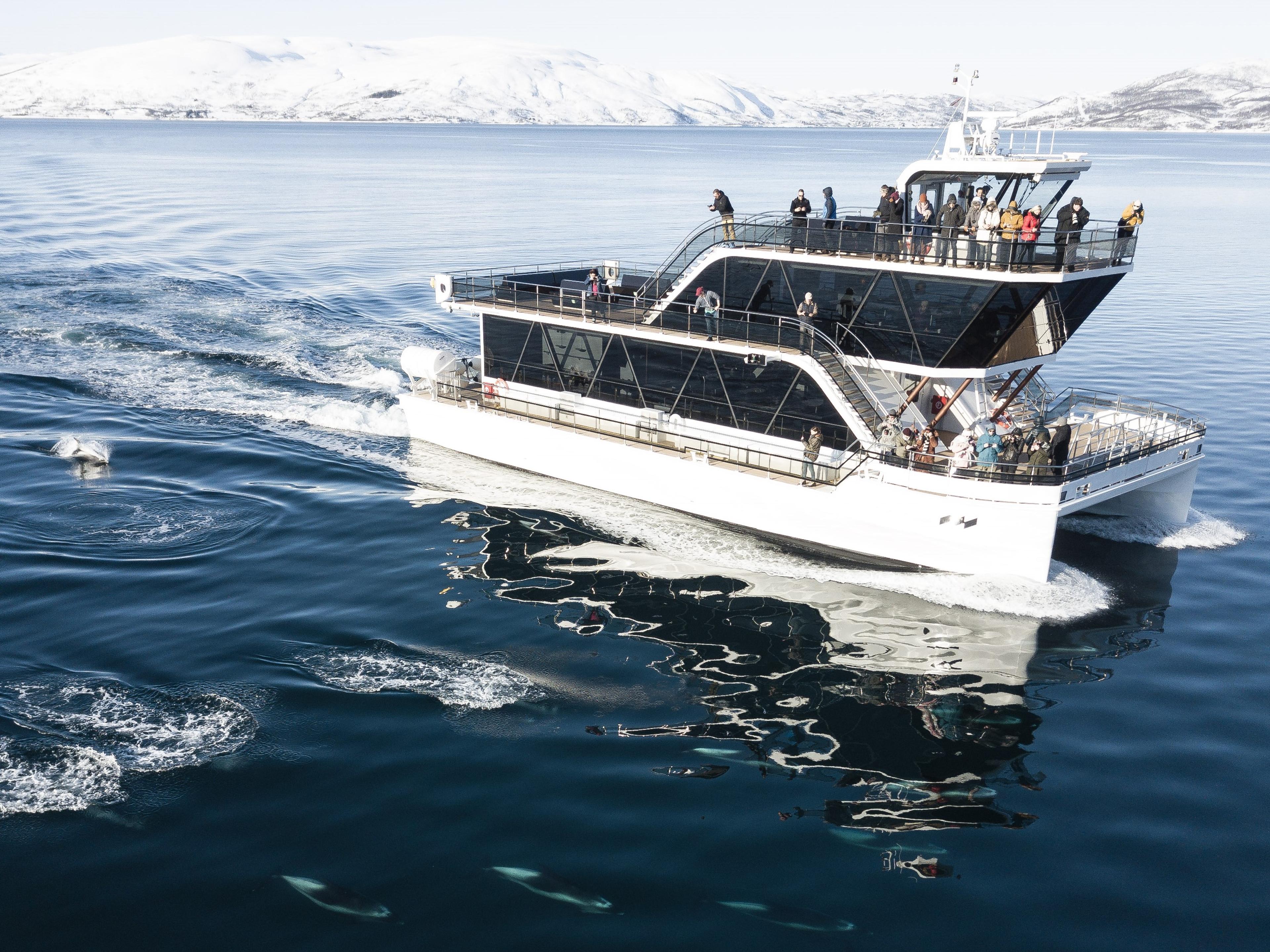 Tromsø Wildlife & Northern Lights by Authentic Scandinavia