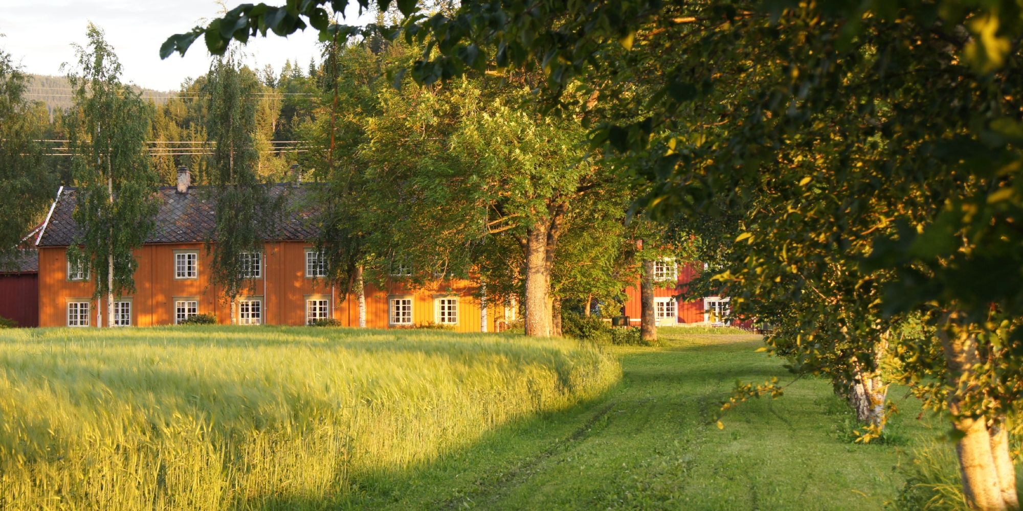 An idyllic farm with a large farmhouse where you can stay with HANEN