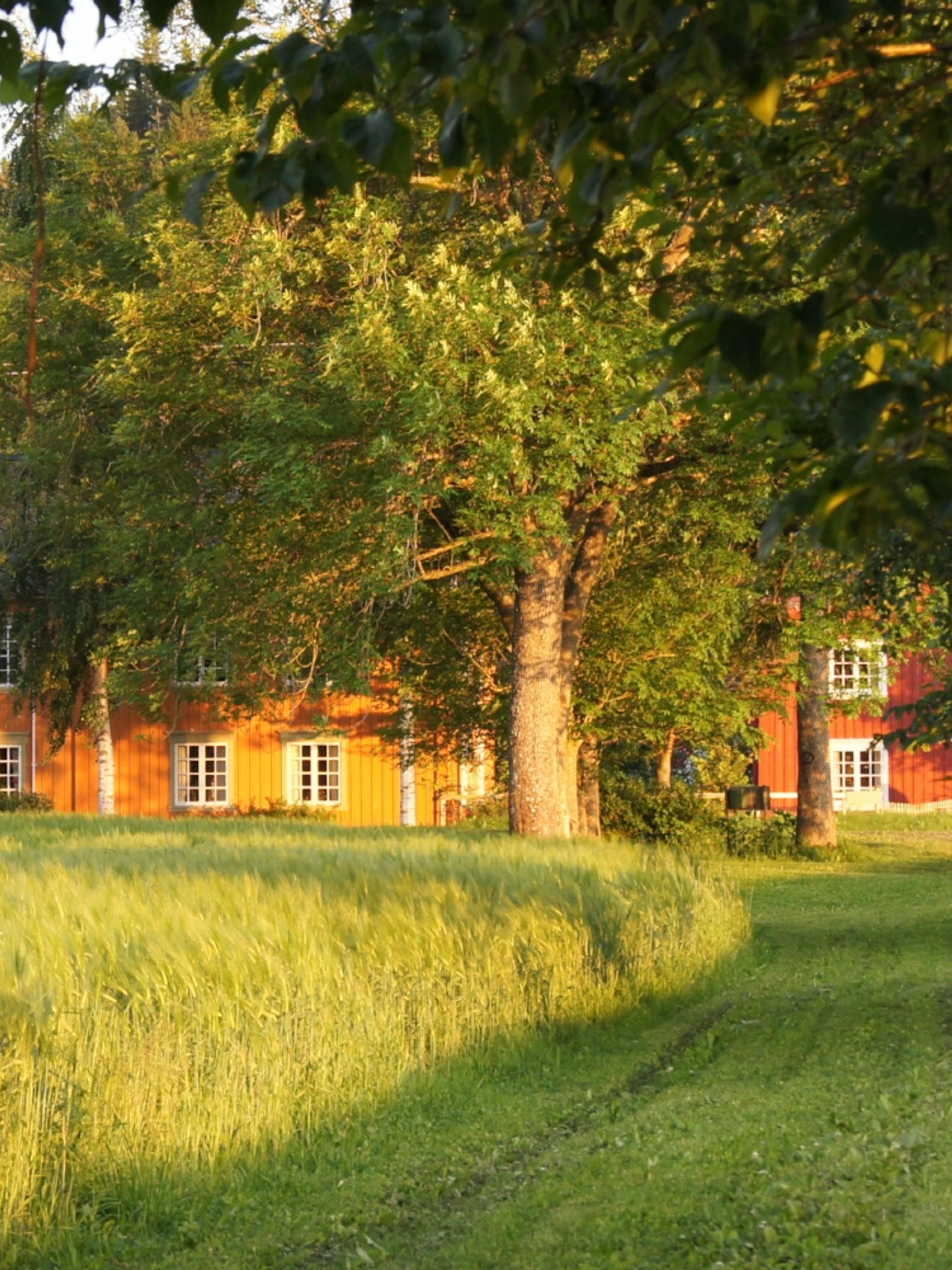An idyllic farm with a large farmhouse where you can stay with HANEN