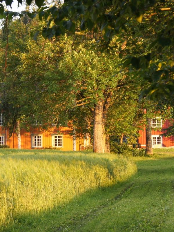 An idyllic farm with a large farmhouse where you can stay with HANEN
