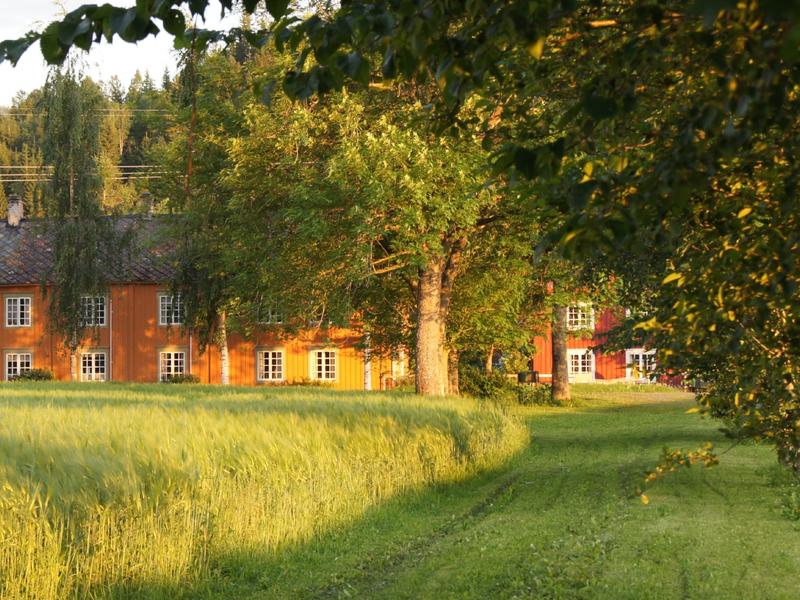 An idyllic farm with a large farmhouse where you can stay with HANEN