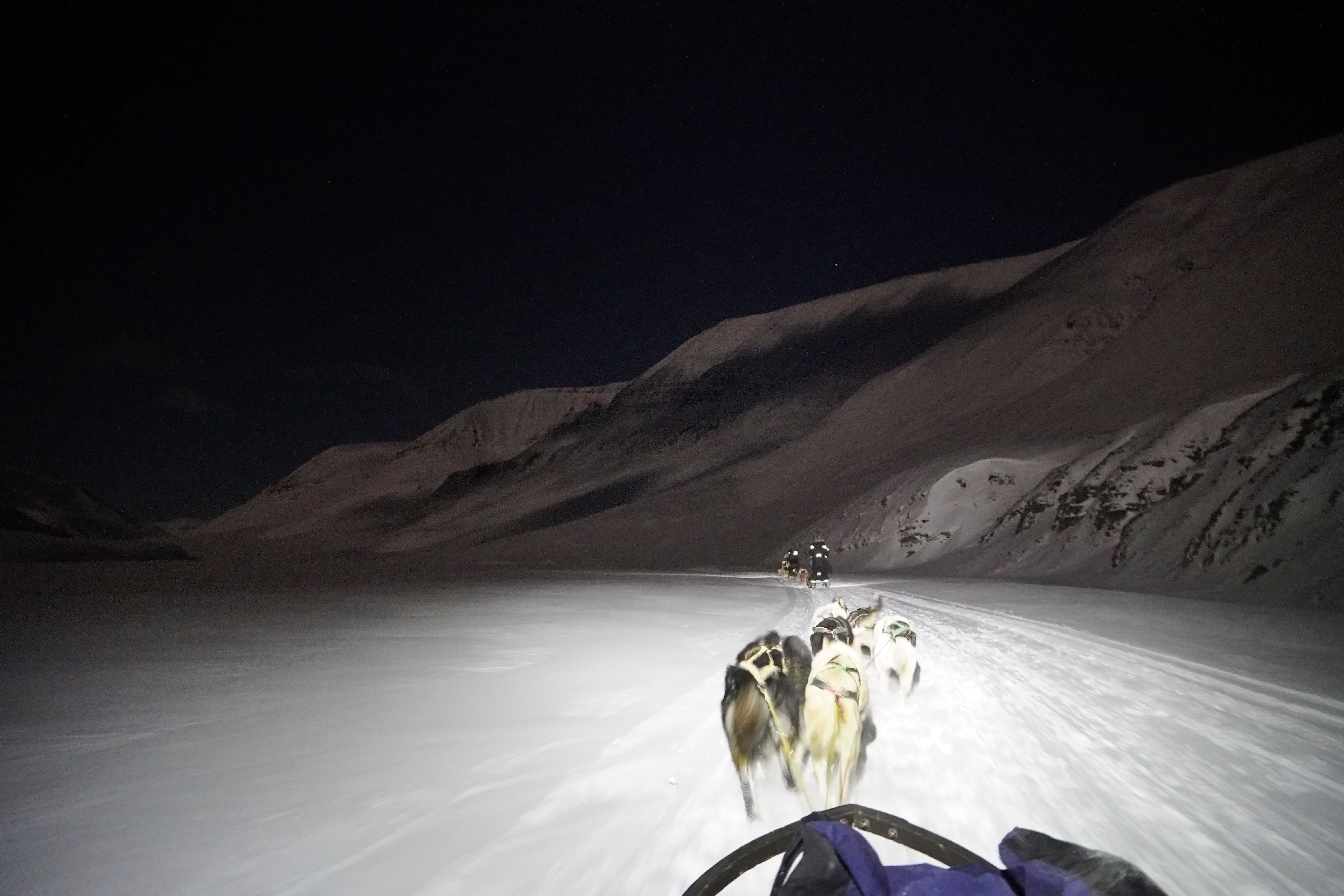 Dogs running between white arctic mountains