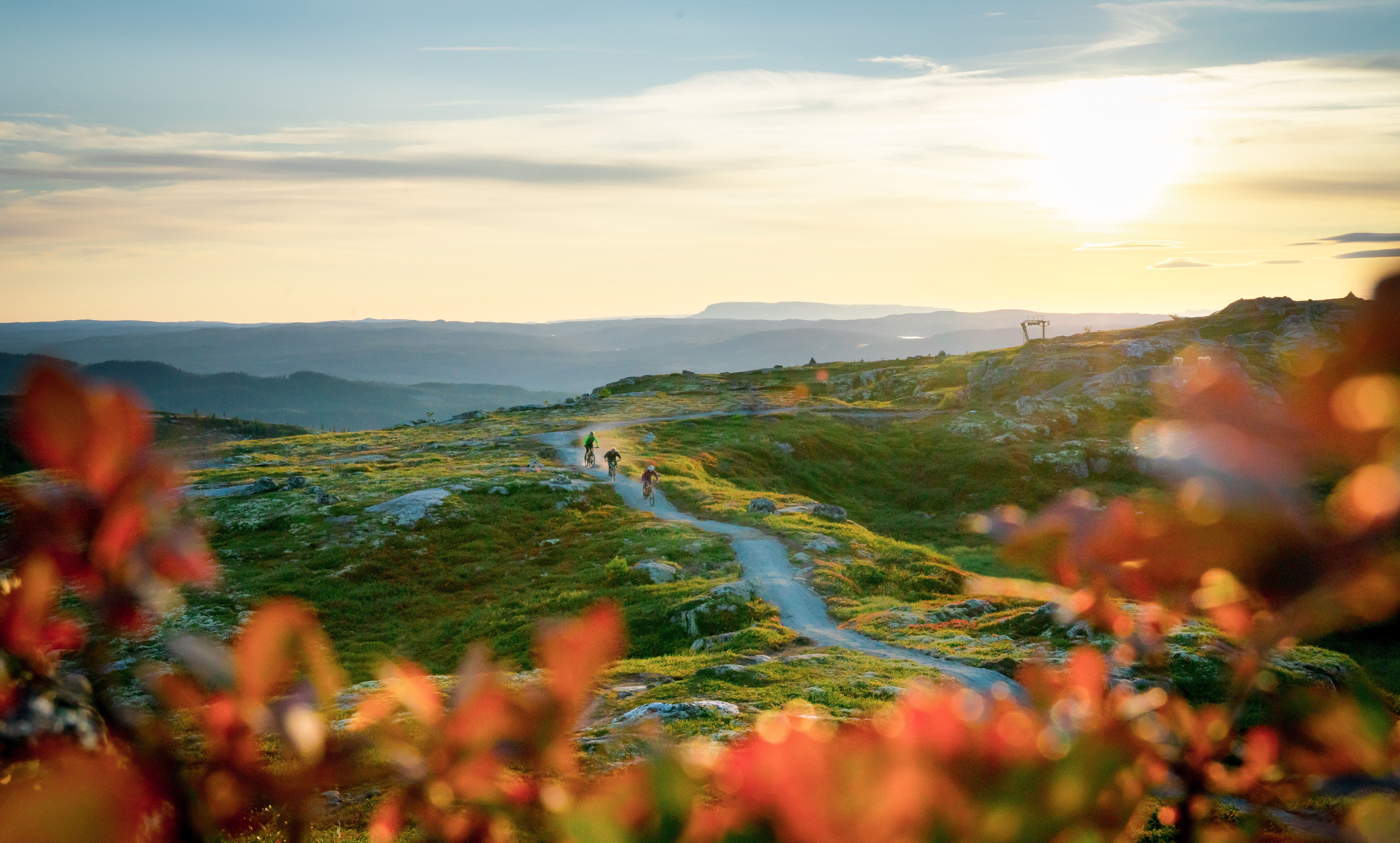 People cycling in Hallingspranget, Eastern Norway.