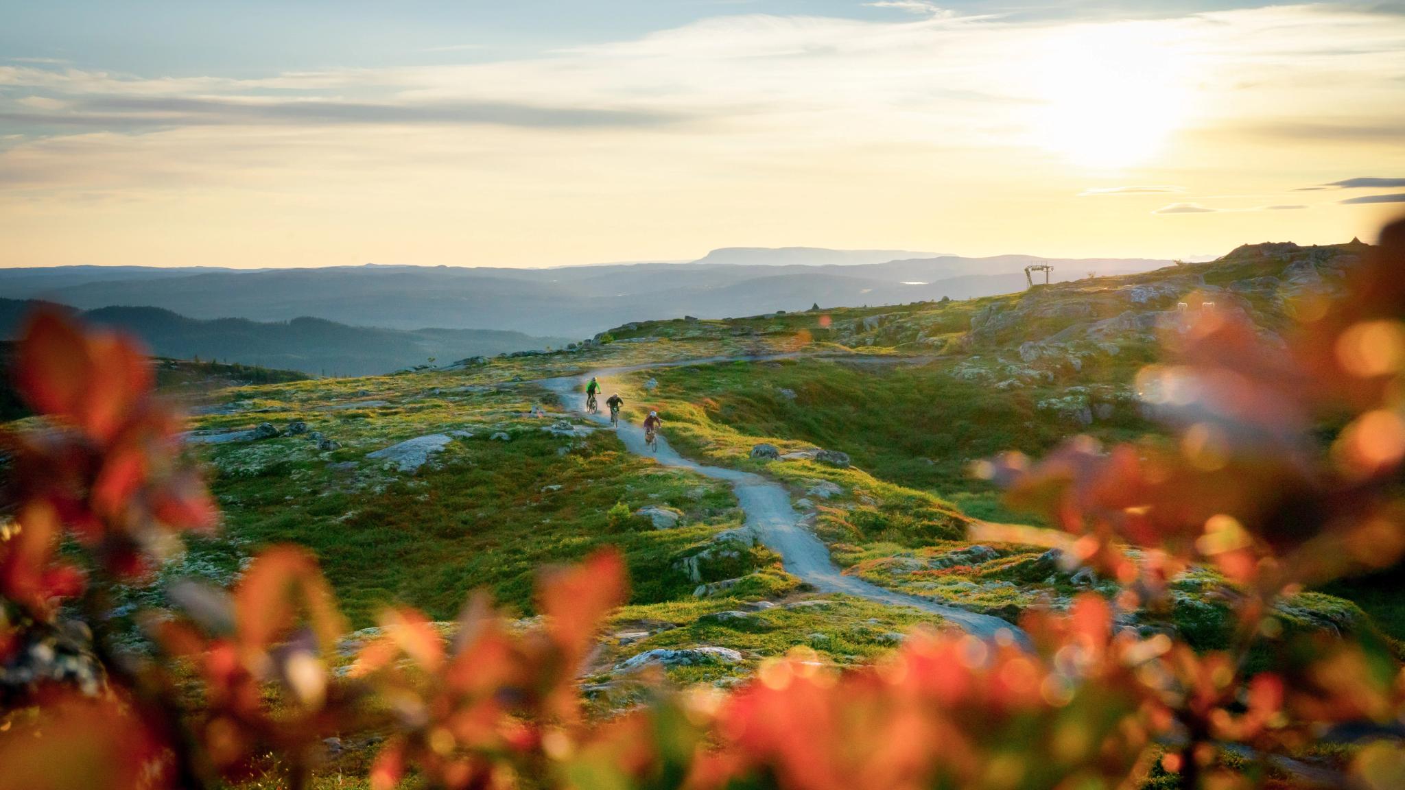 People cycling in Hallingspranget, Eastern Norway.