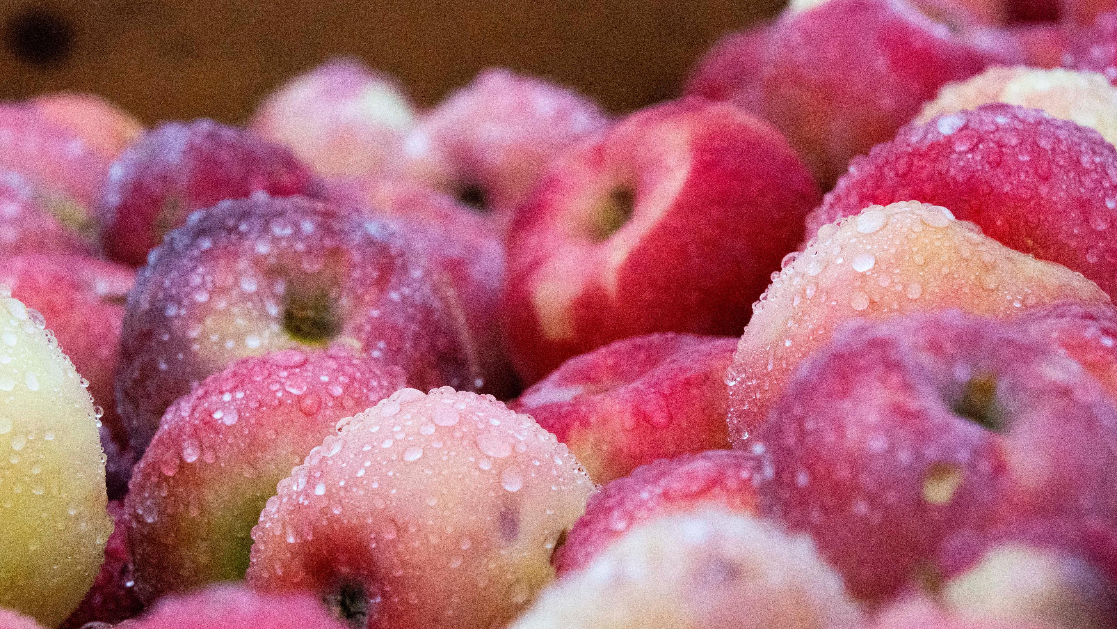 Freshly harvested apples
