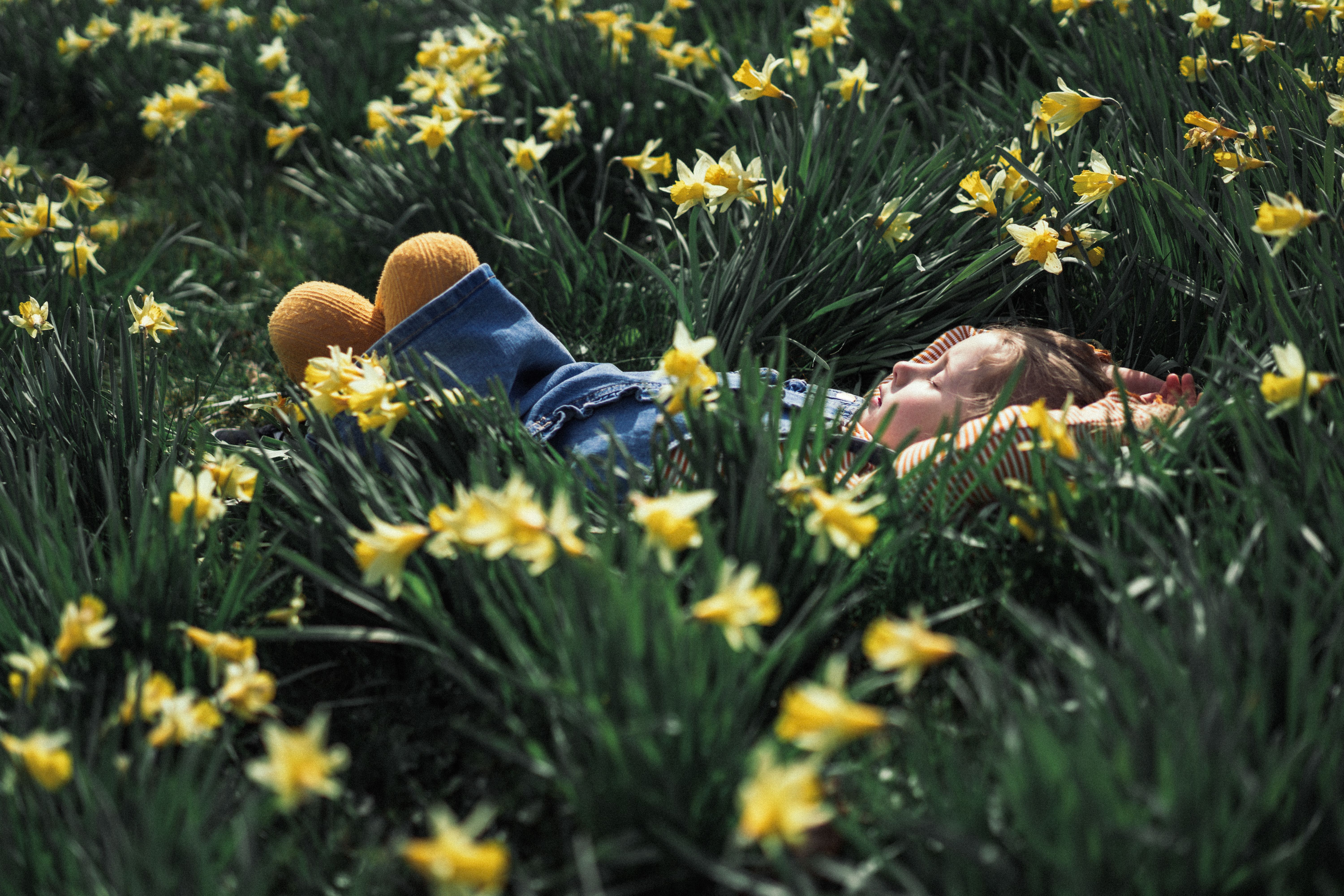 Girl relaxing in a field of flowers, Fjord Norway.