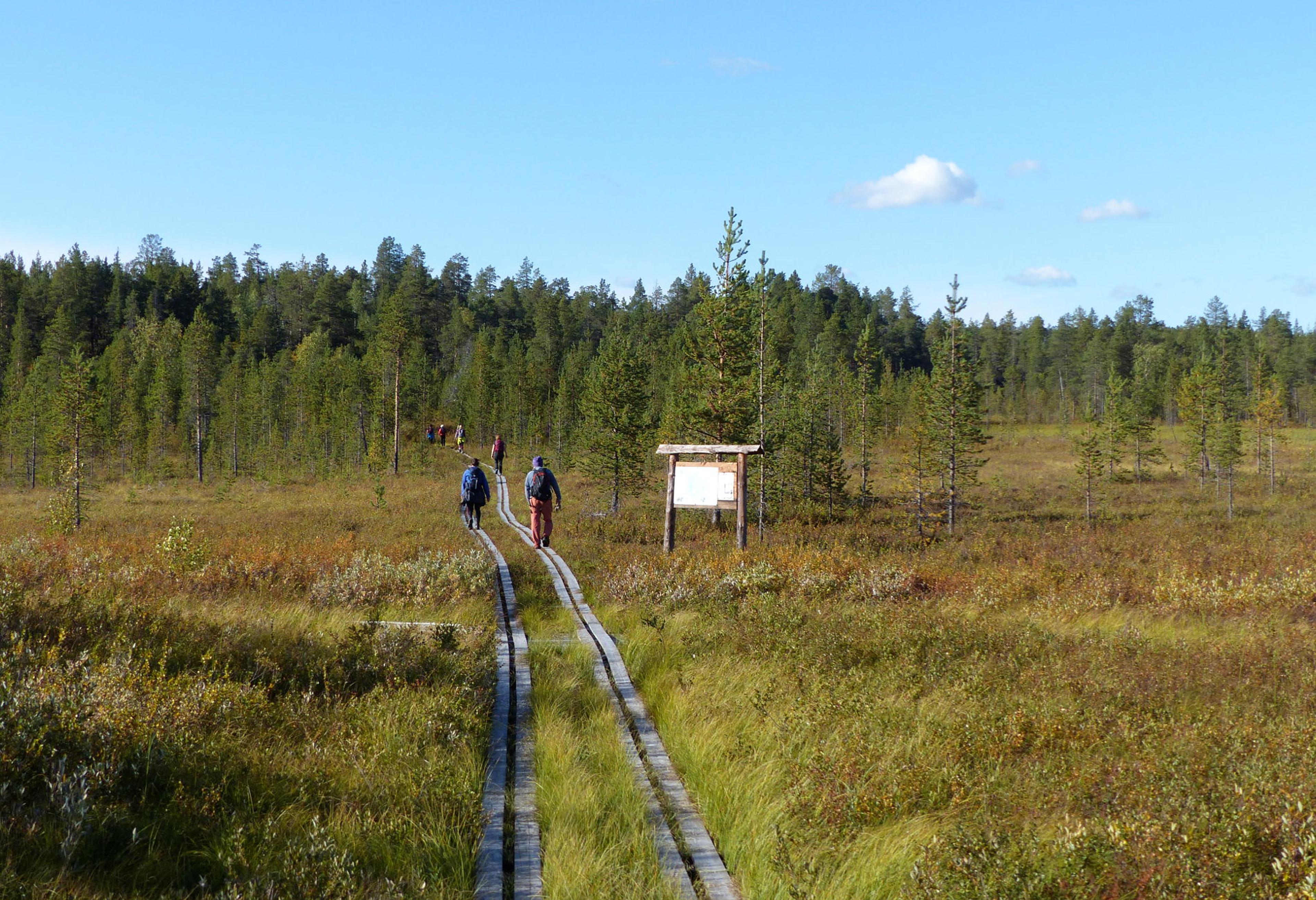 People hiking in the Pasvik Valley