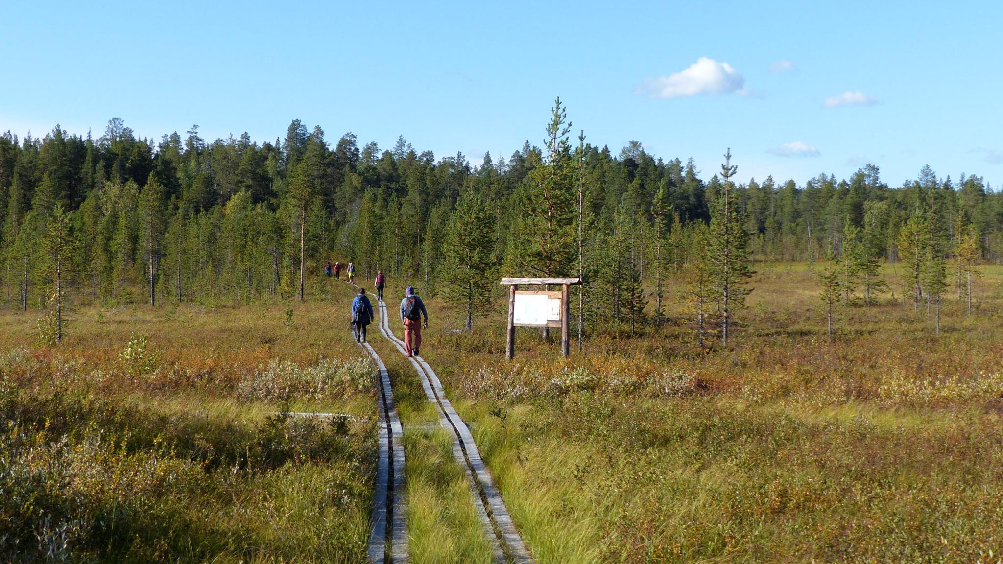 People hiking in the Pasvik Valley