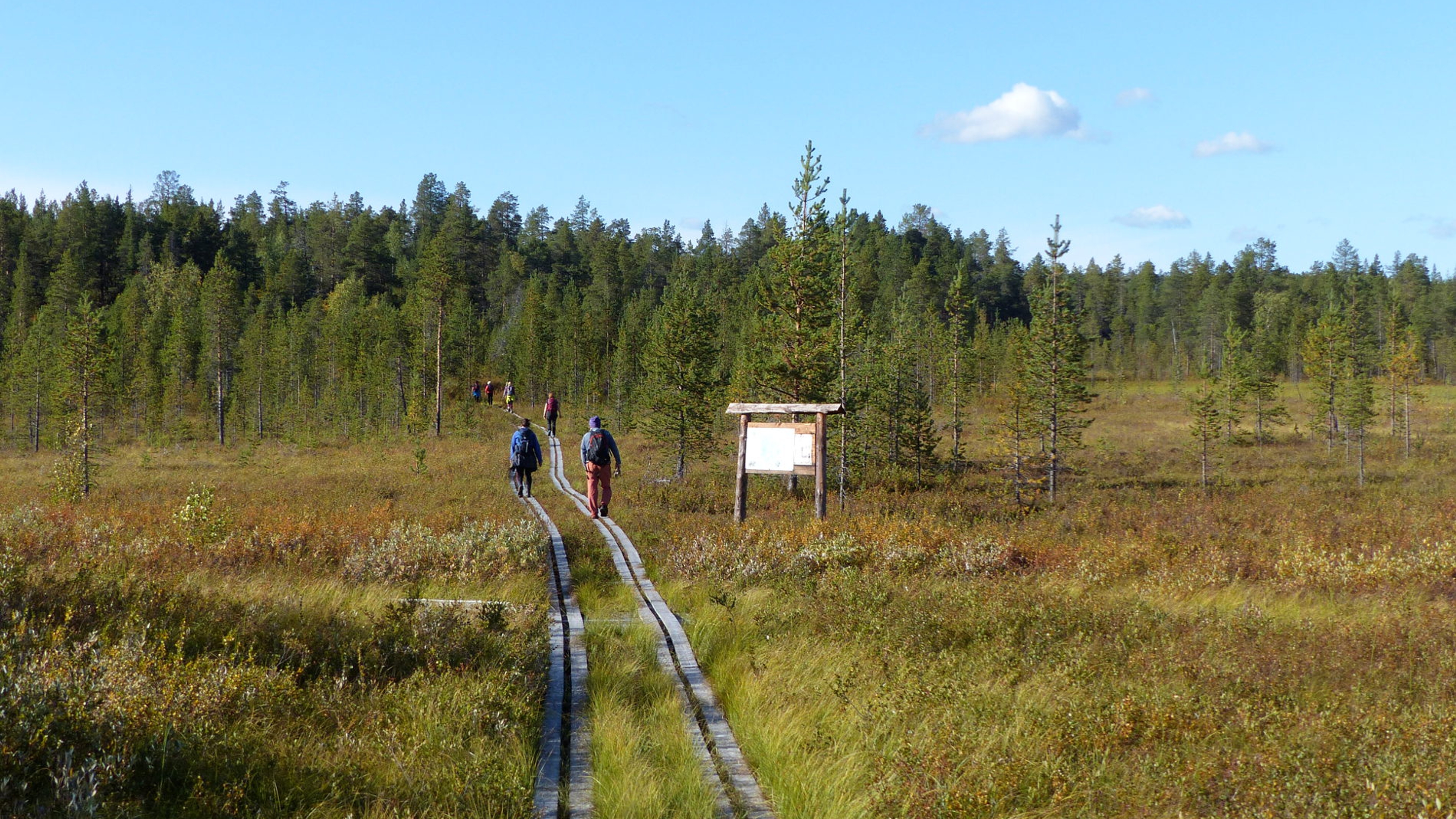 People hiking in the Pasvik Valley