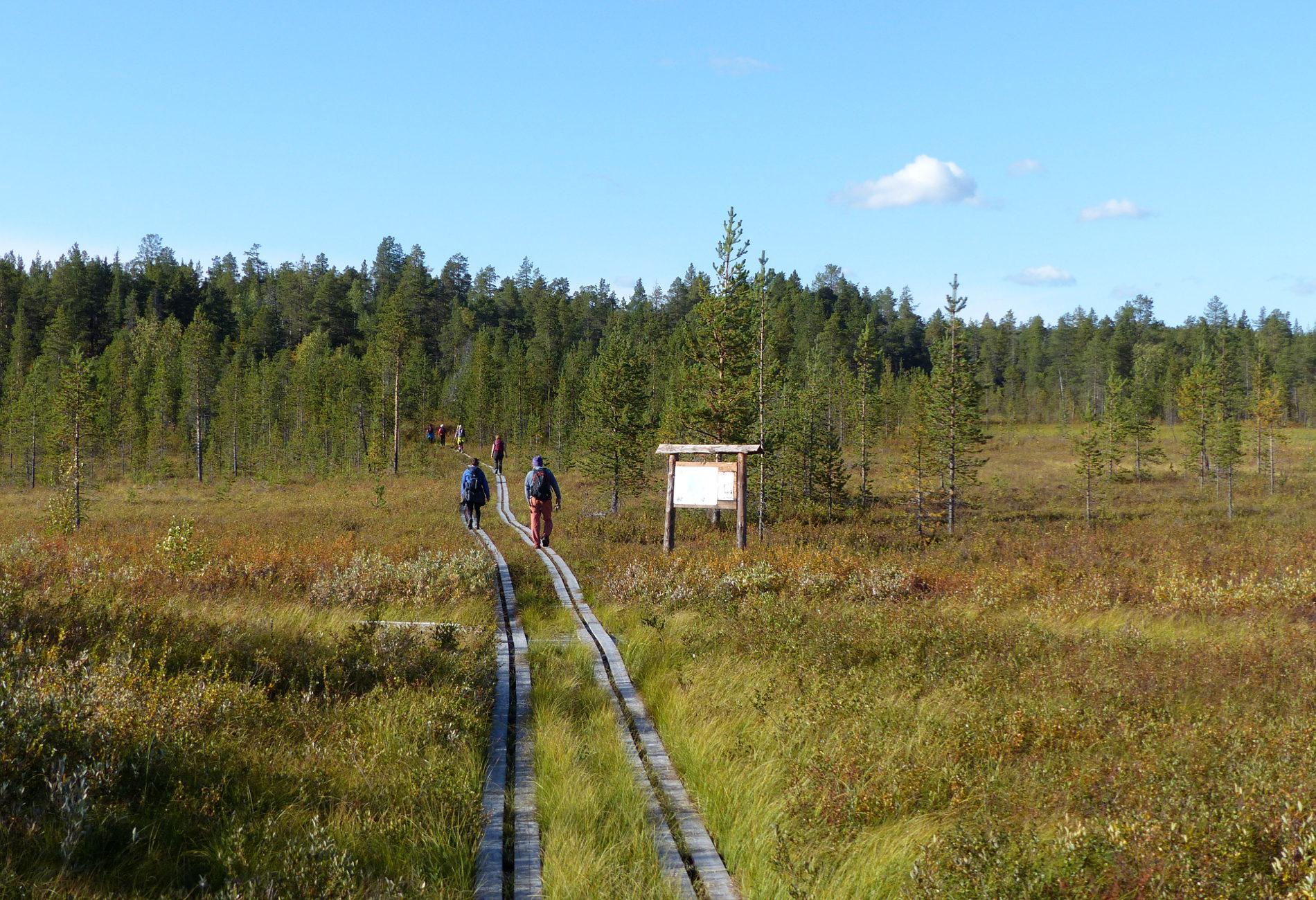 People hiking in the Pasvik Valley