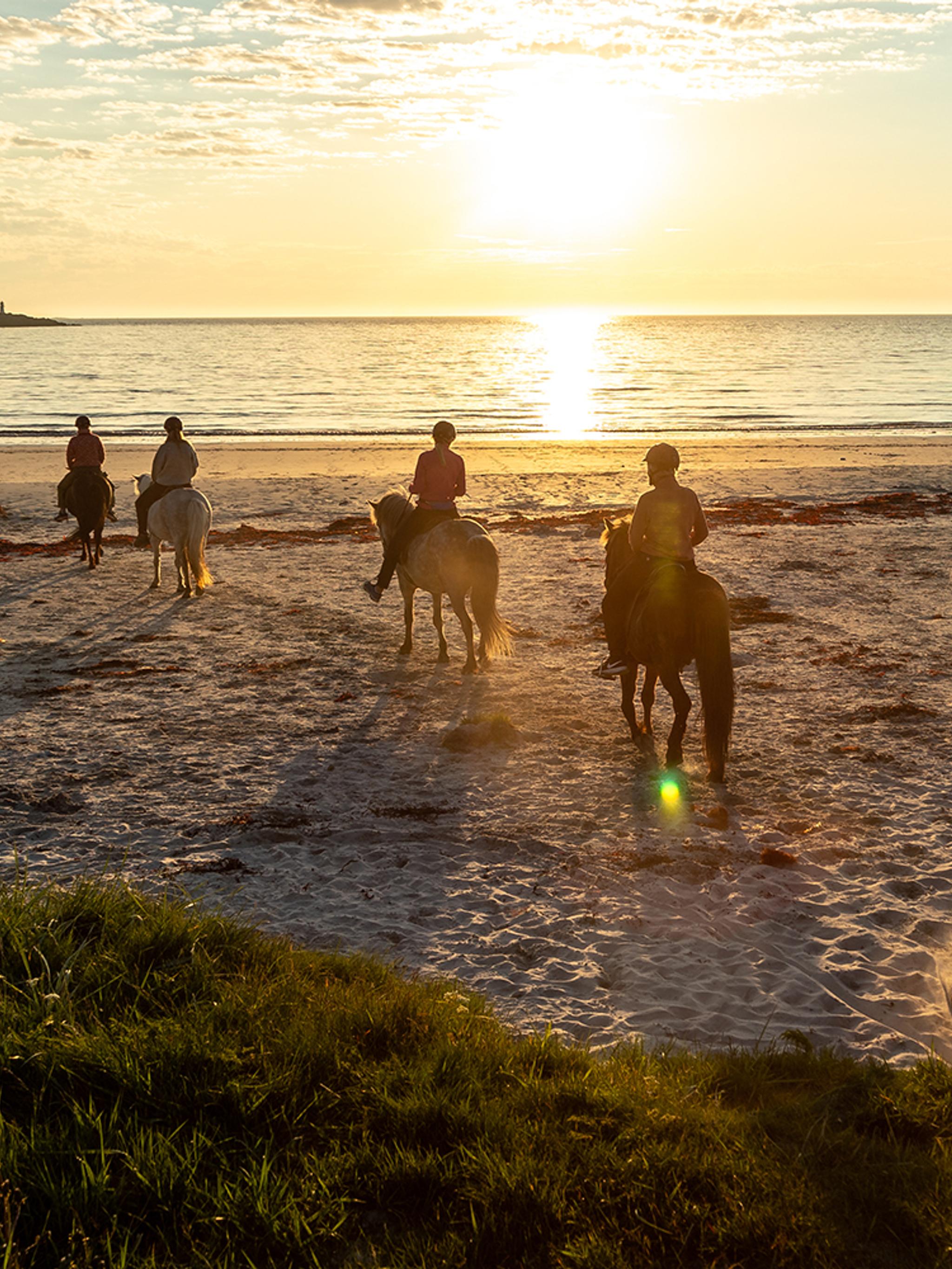 Leute reiten an einem Strand bei Sonnenuntergang auf den Lofoten, Nordnorwegen
