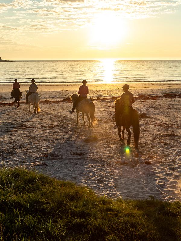 People horseback riding at a beach at sunset in Lofoten, Northern Norway