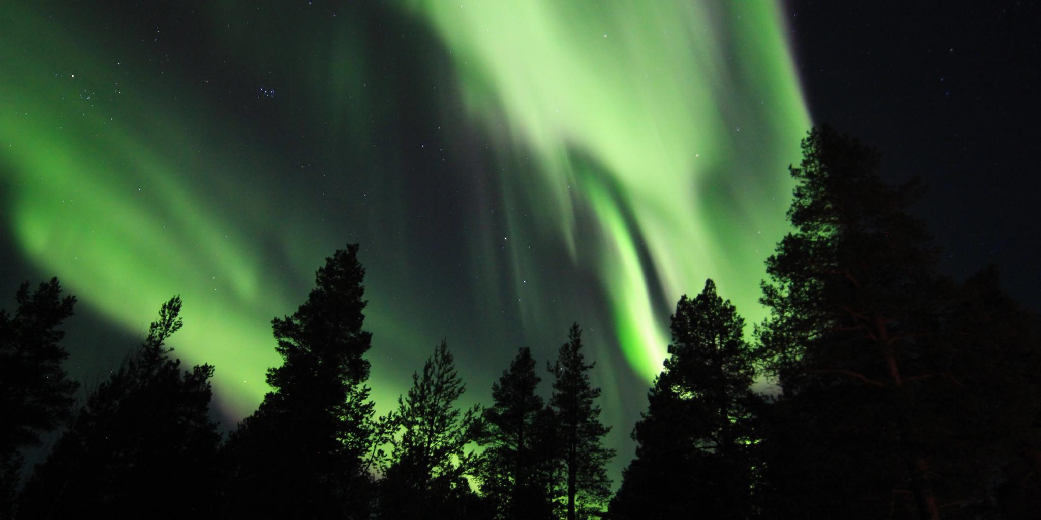 Magical Northern Light by Up Norway