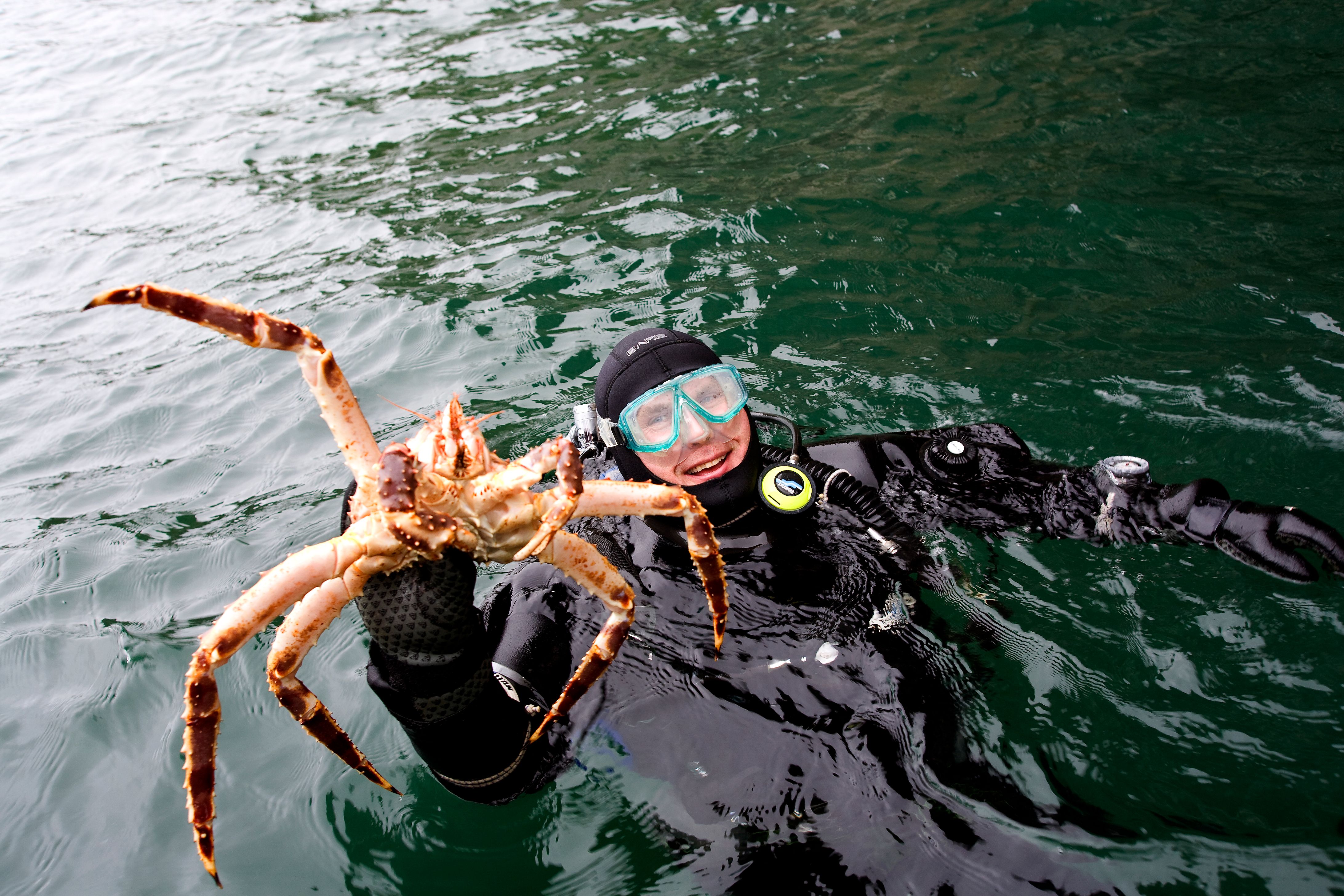 Man catching a king crab on king crab safari in Northern Norway