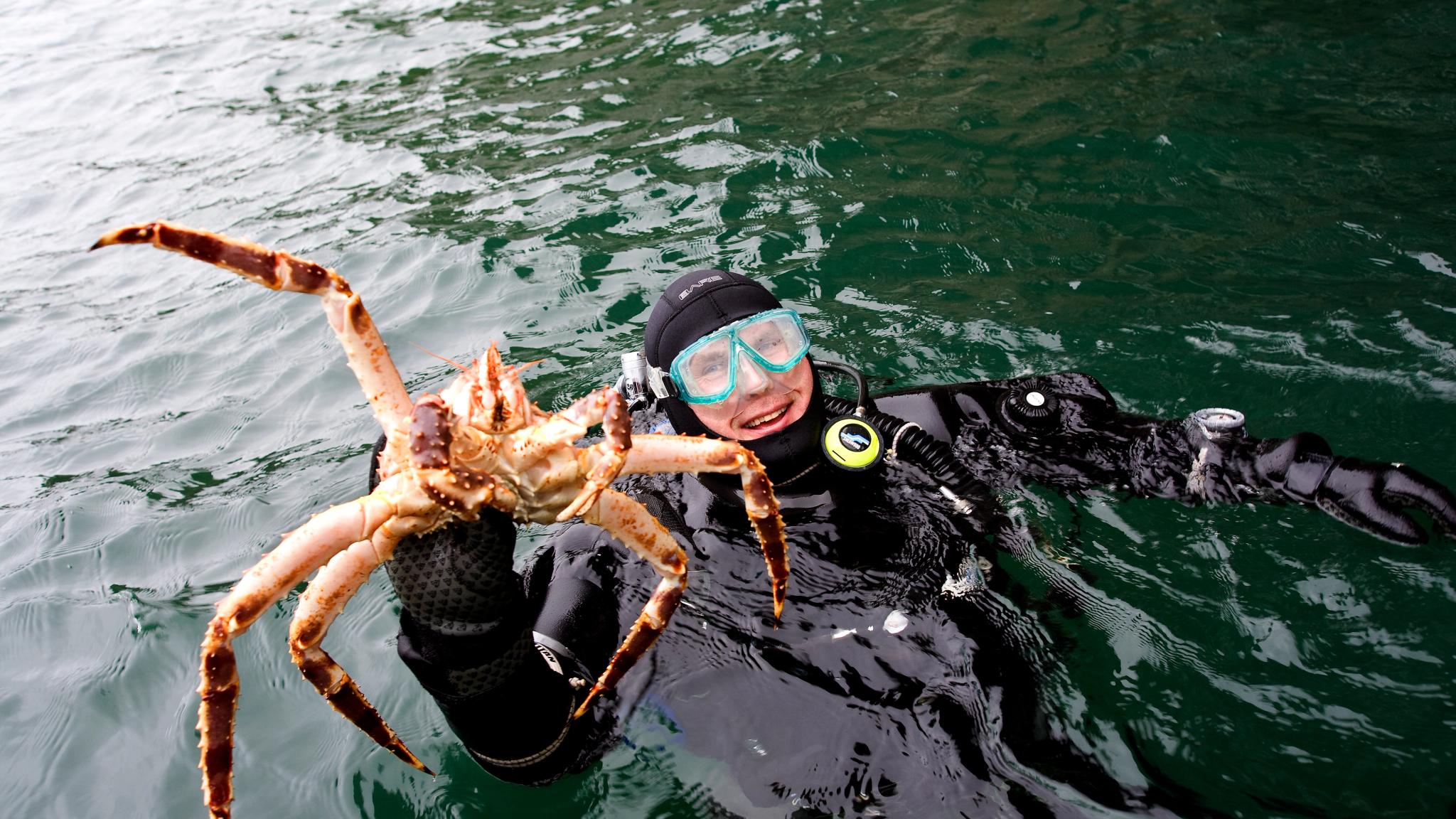 Man catching a king crab on king crab safari in Northern Norway