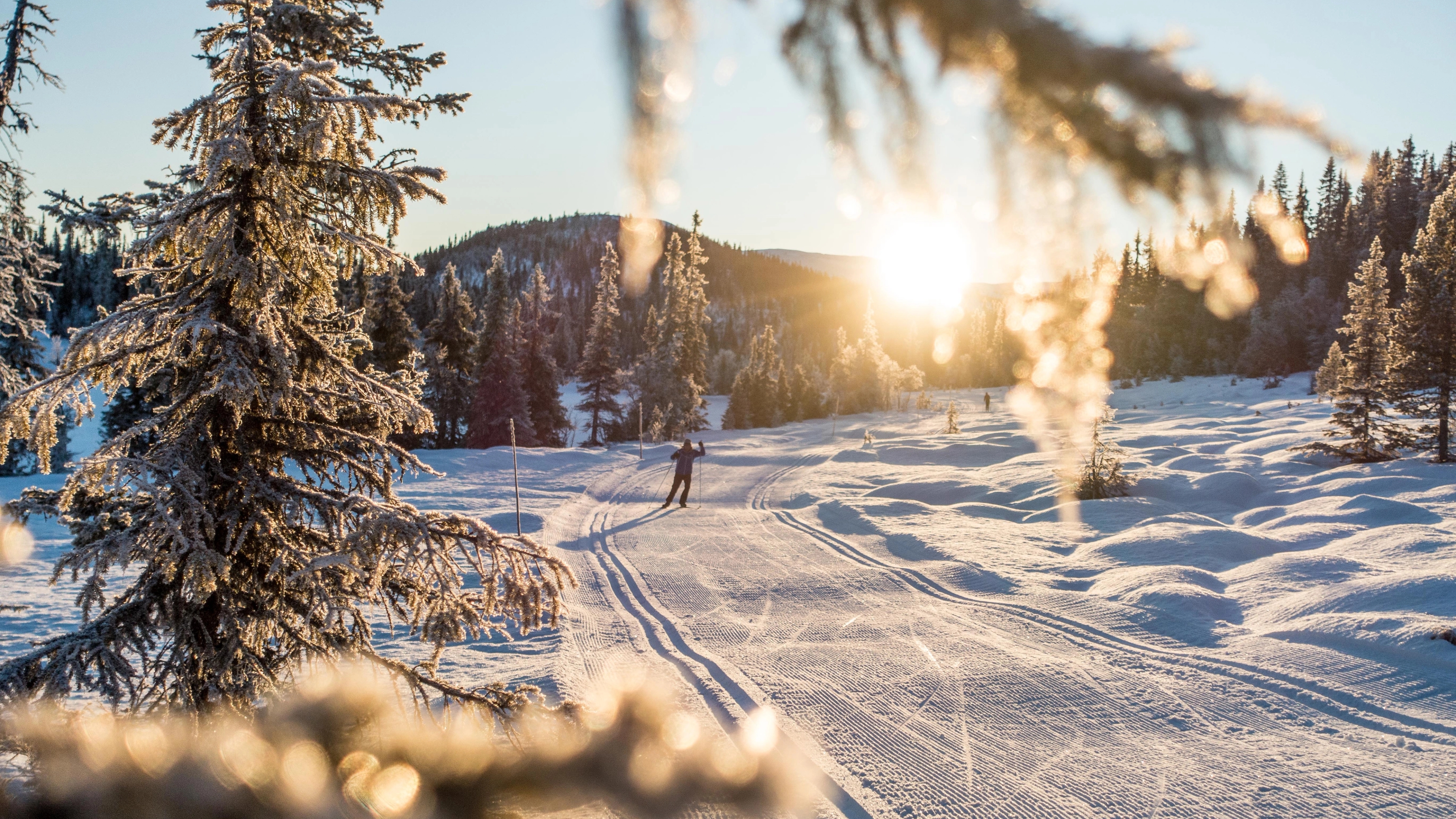 Skier on the Natten-round in Nesbyen