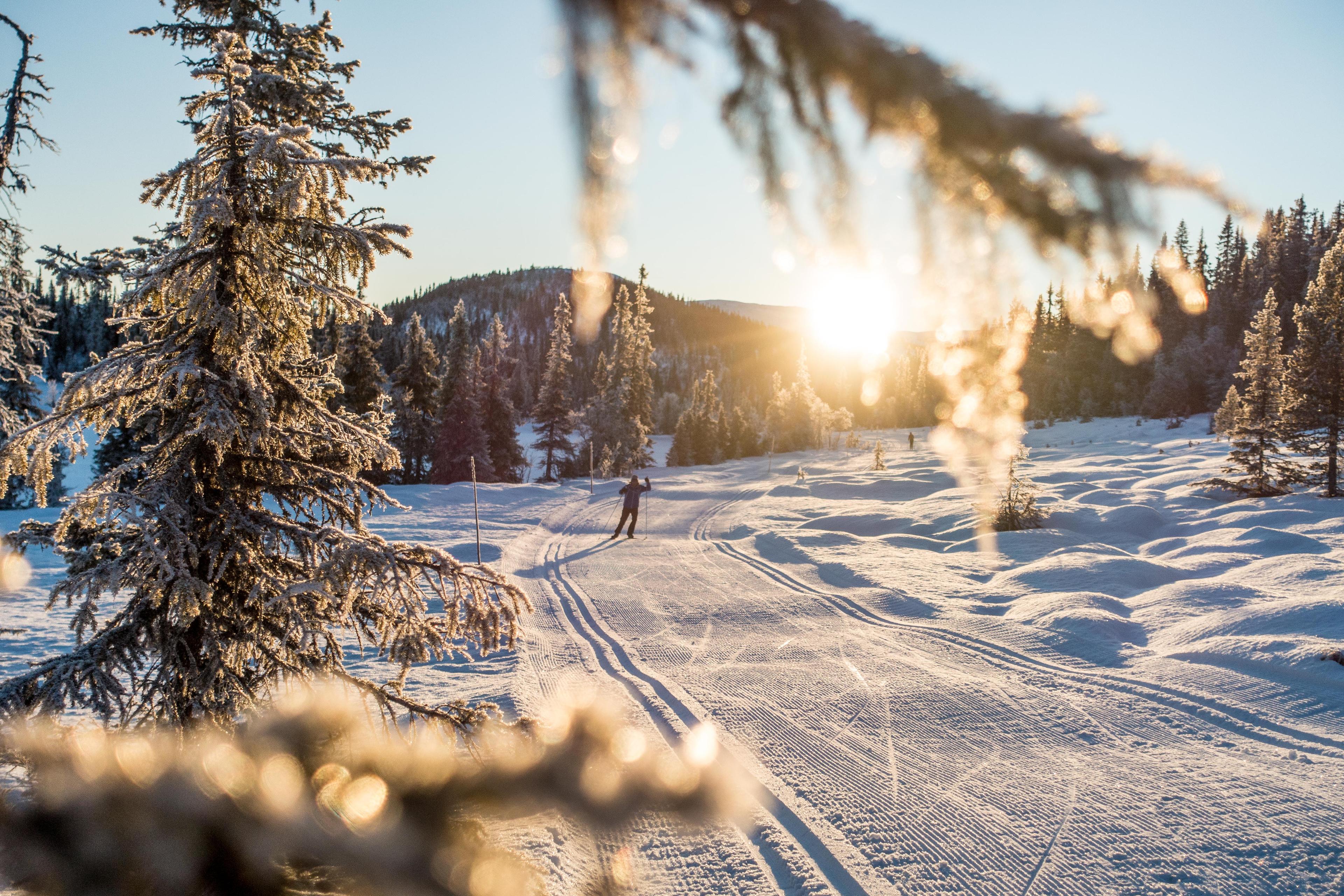 Skier on the Natten-round in Nesbyen