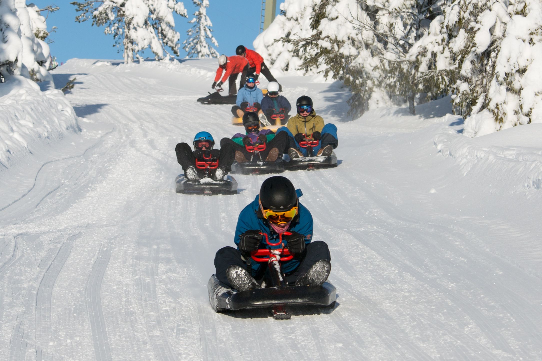 Sledging in Budor, the Hamar region, Eastern Norway