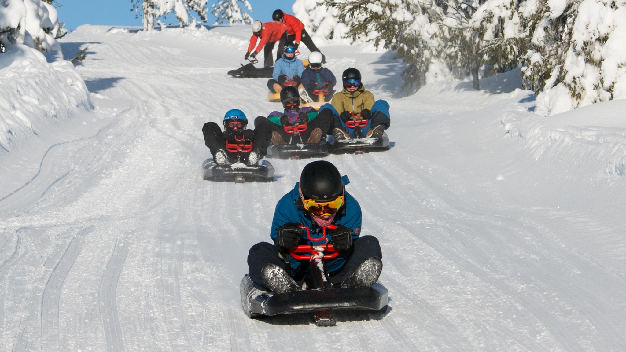 Sledging in Budor, the Hamar region, Eastern Norway