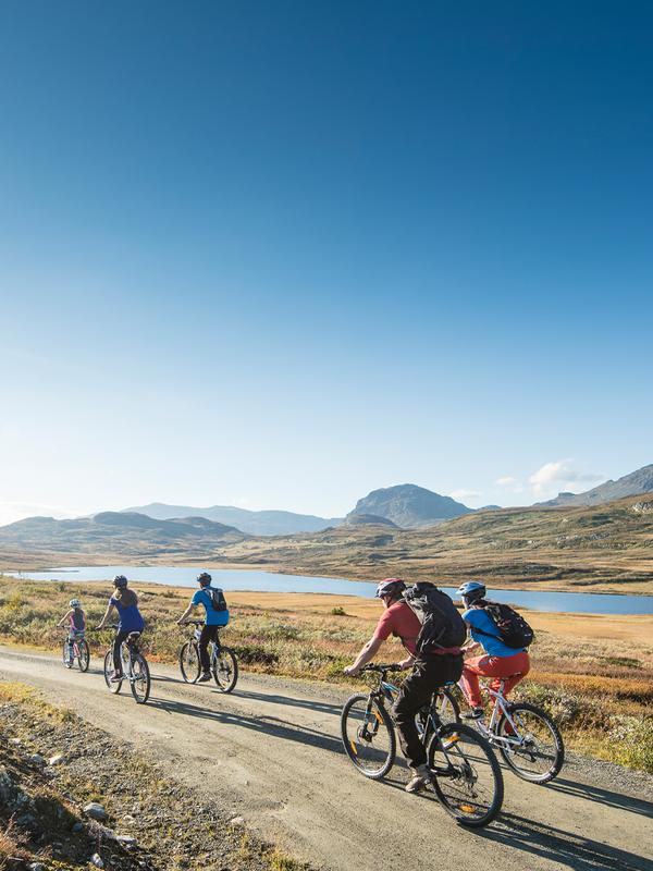 Några personer cyklar på en grusväg i Ål i Hallingdal, östra Norge