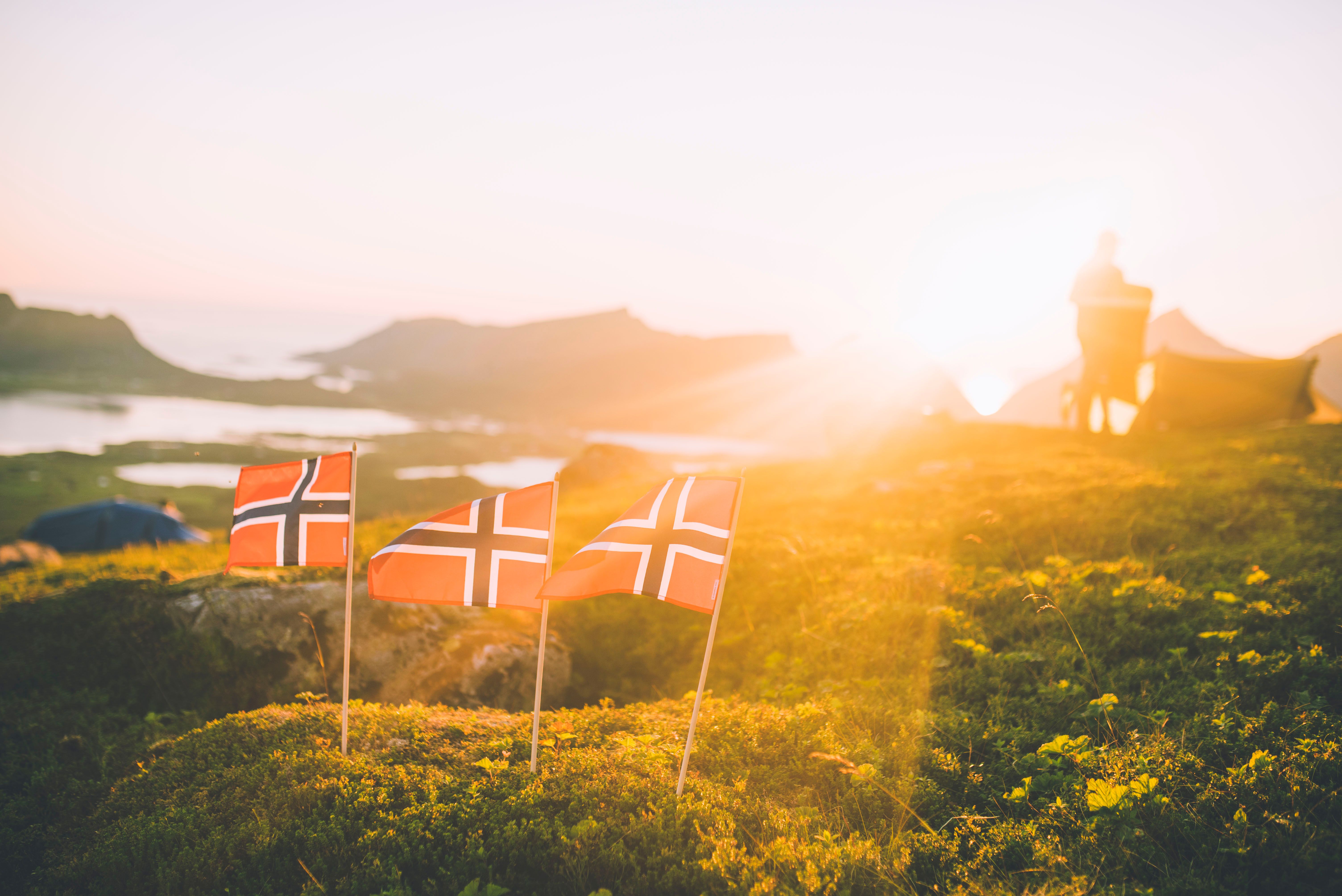 Three Norwegian flags placed in the moss on a mountain in Vesterålen, Northern Norway