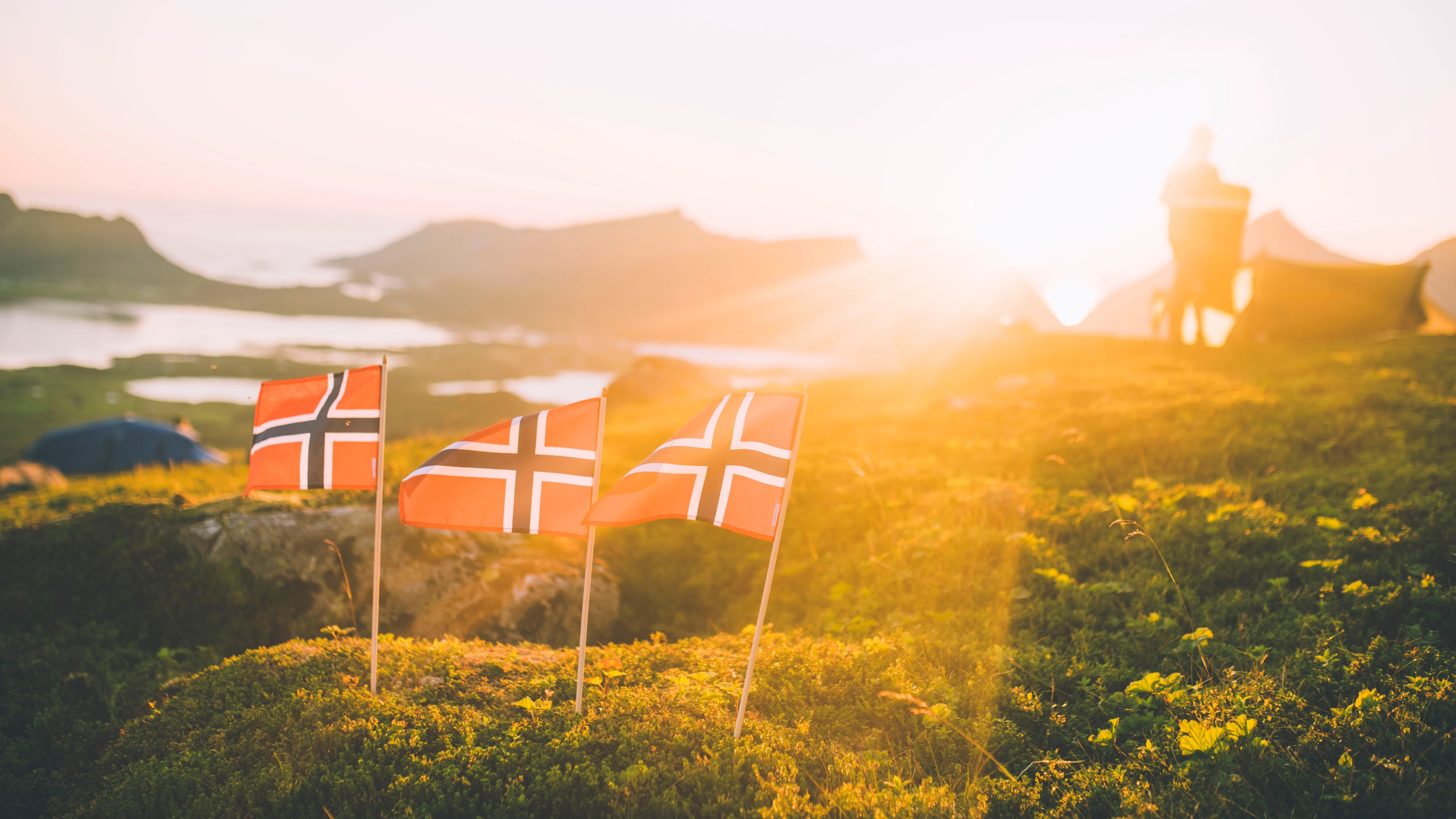 Three Norwegian flags placed in the moss on a mountain in Vesterålen, Northern Norway