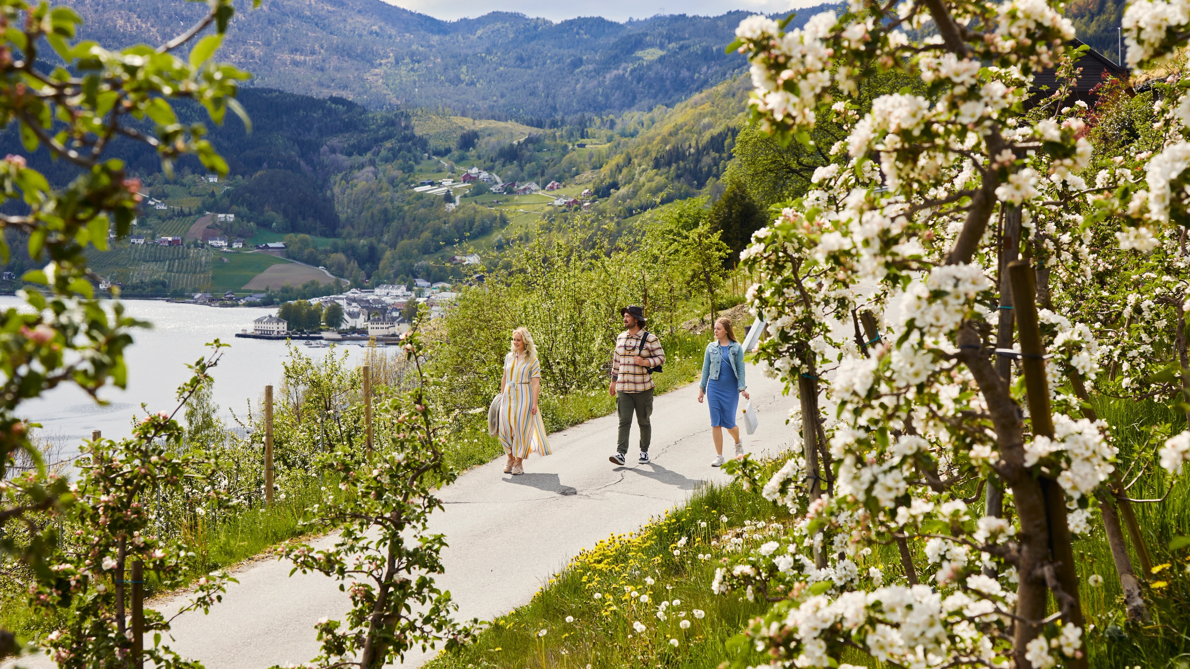 Three friends walking along the Cider-route in Hardanger