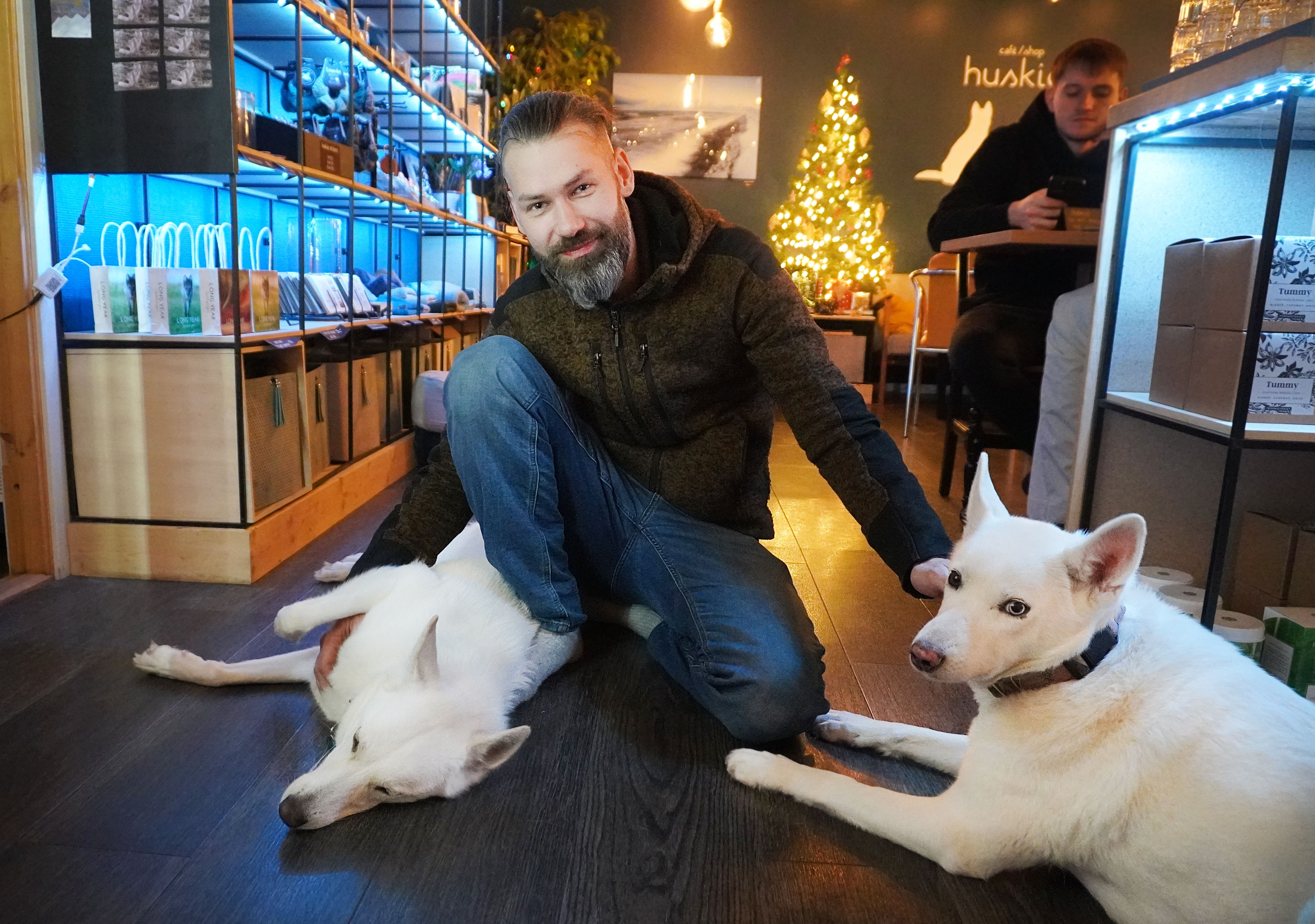A man with two huskies inside a cafe