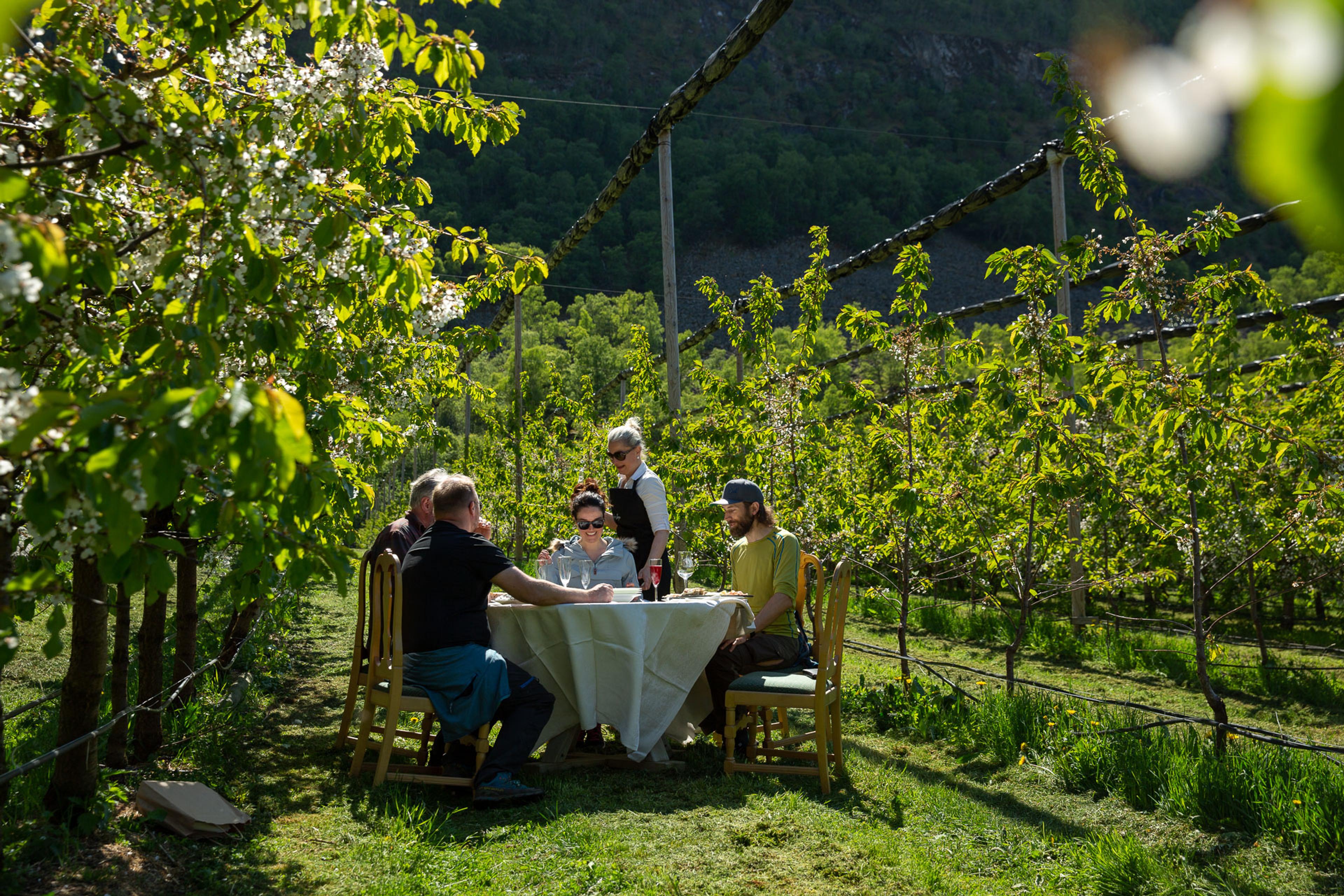 People having a good time at a farm in Lærdal