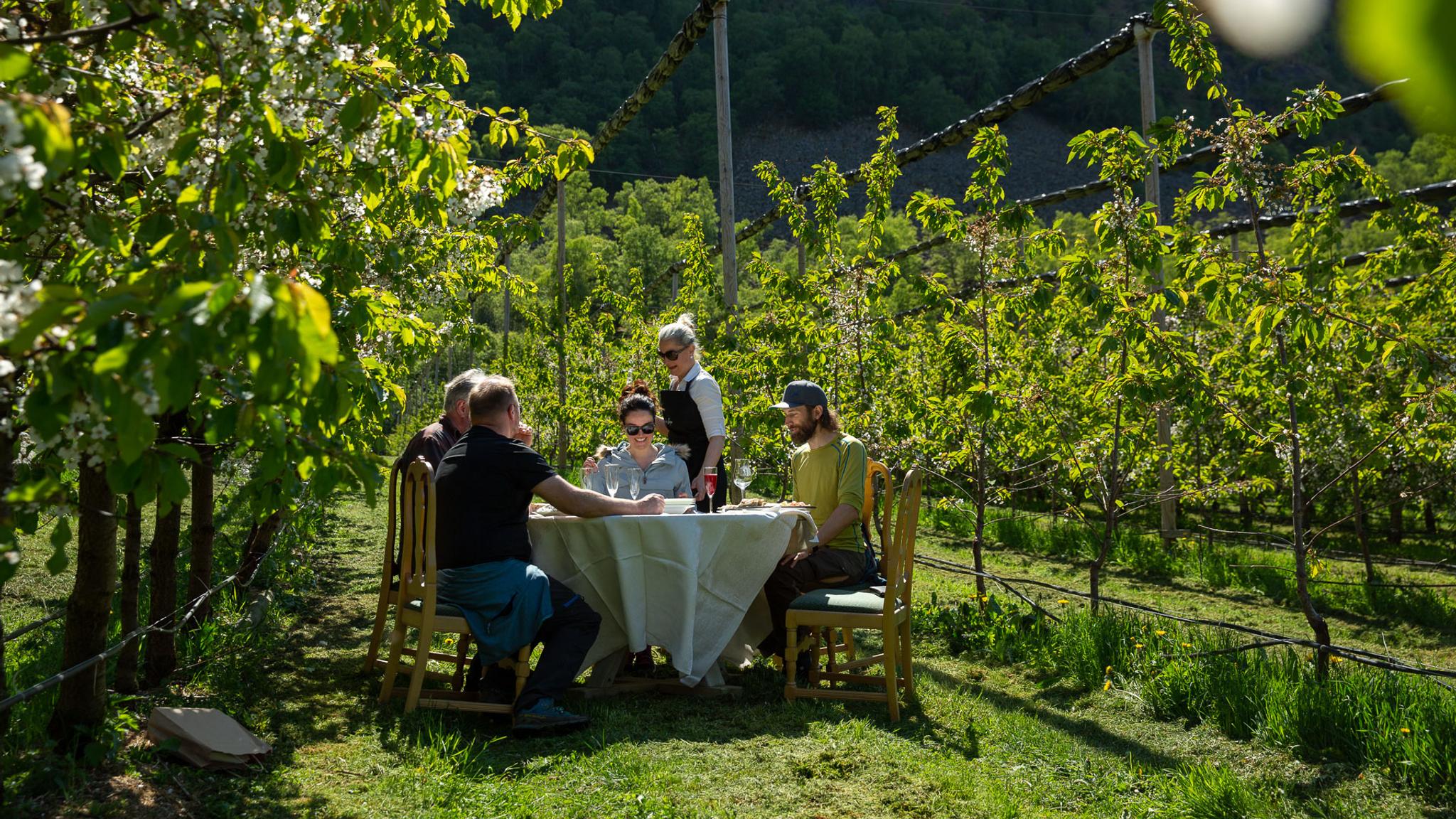 People having a good time at a farm in Lærdal