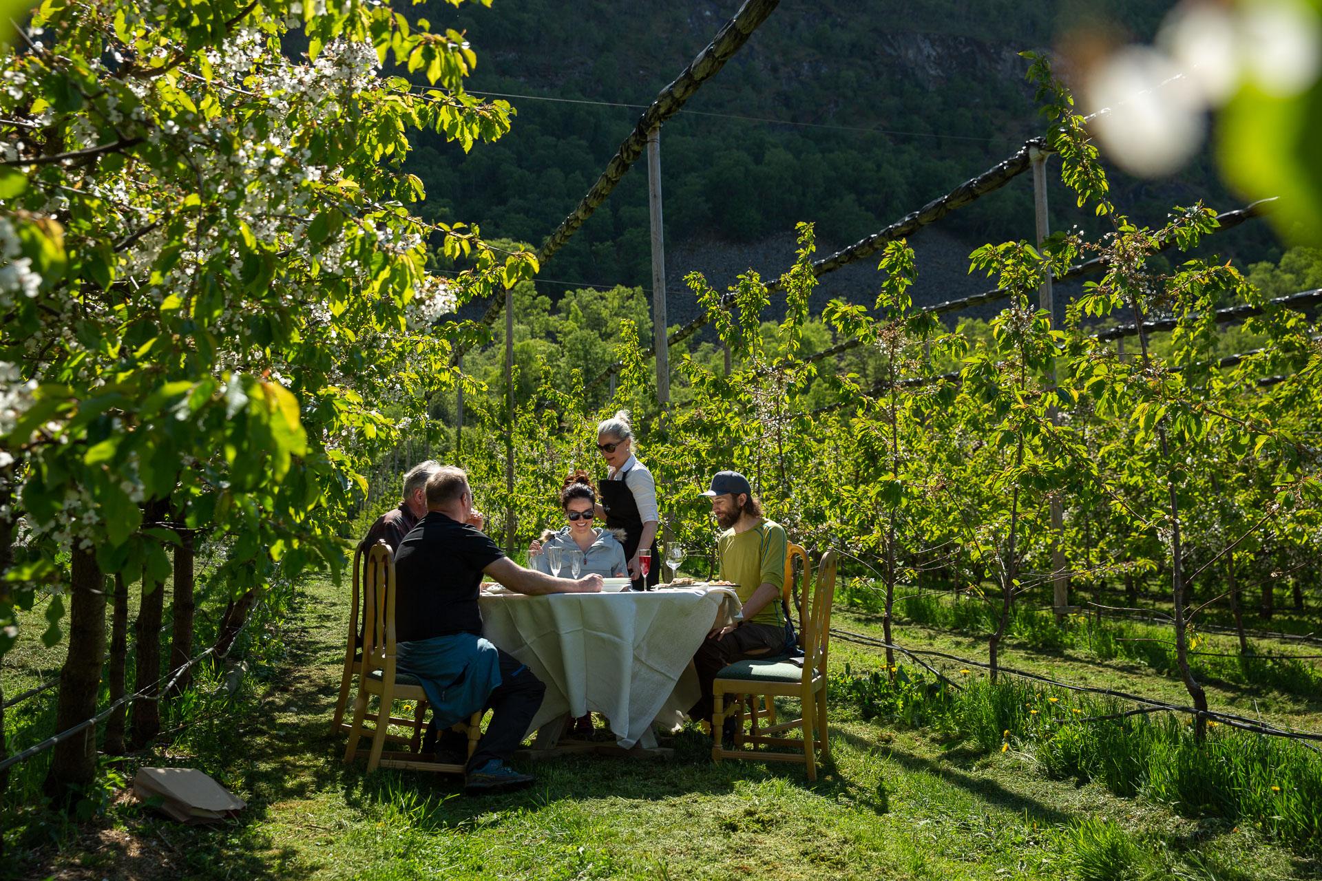 People having a good time at a farm in Lærdal