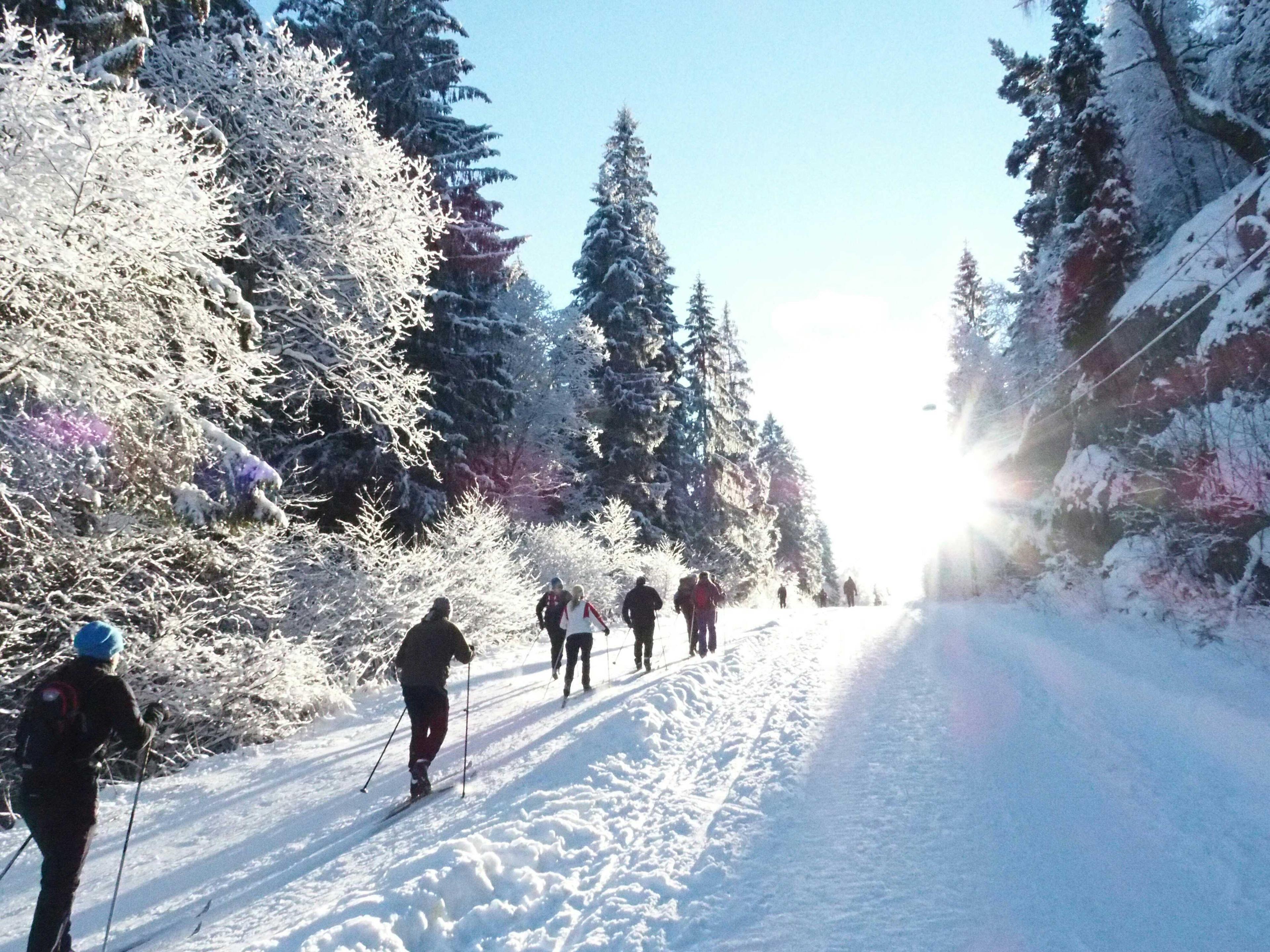 Skiløpere i Nordmarka i Oslo på Østlandet