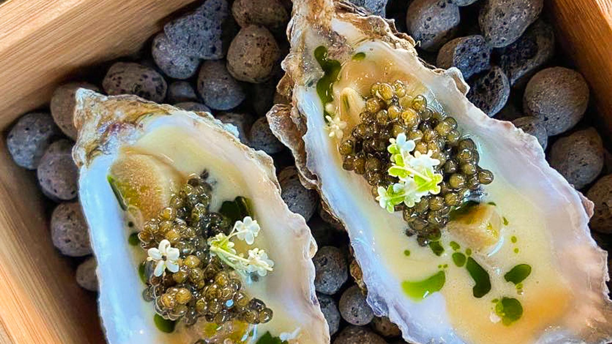 Oyster seafood from Sjøslag