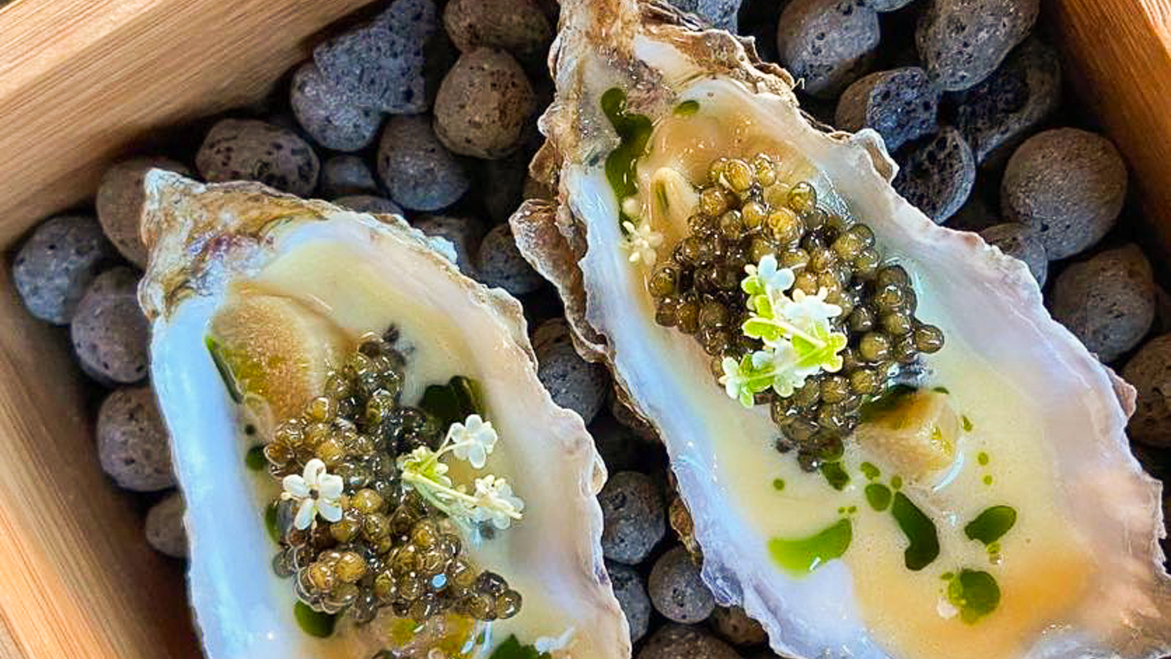 Oyster seafood from Sjøslag