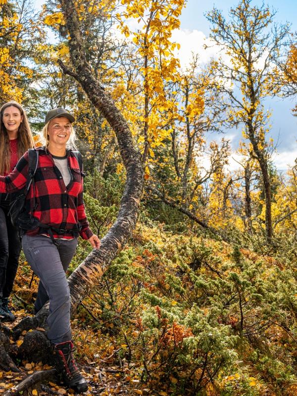 Two girls walking in between the birch trees in the autumn/fall forest in Hemsedal, Eastern Norway