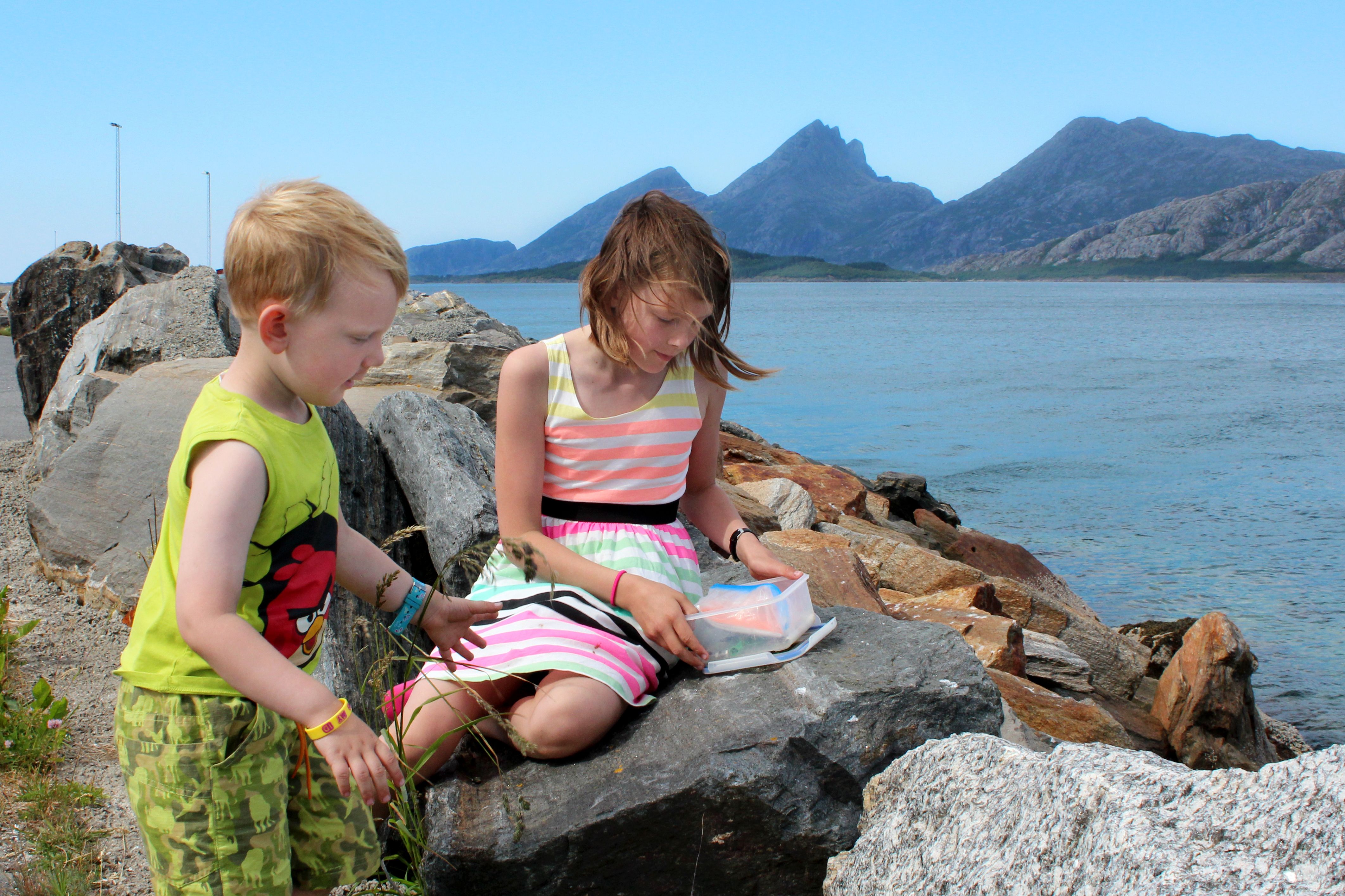 Two kids sitting on rocks next to the sea and try geocaching in Sandnessjøen in Nordland, Northern Norway