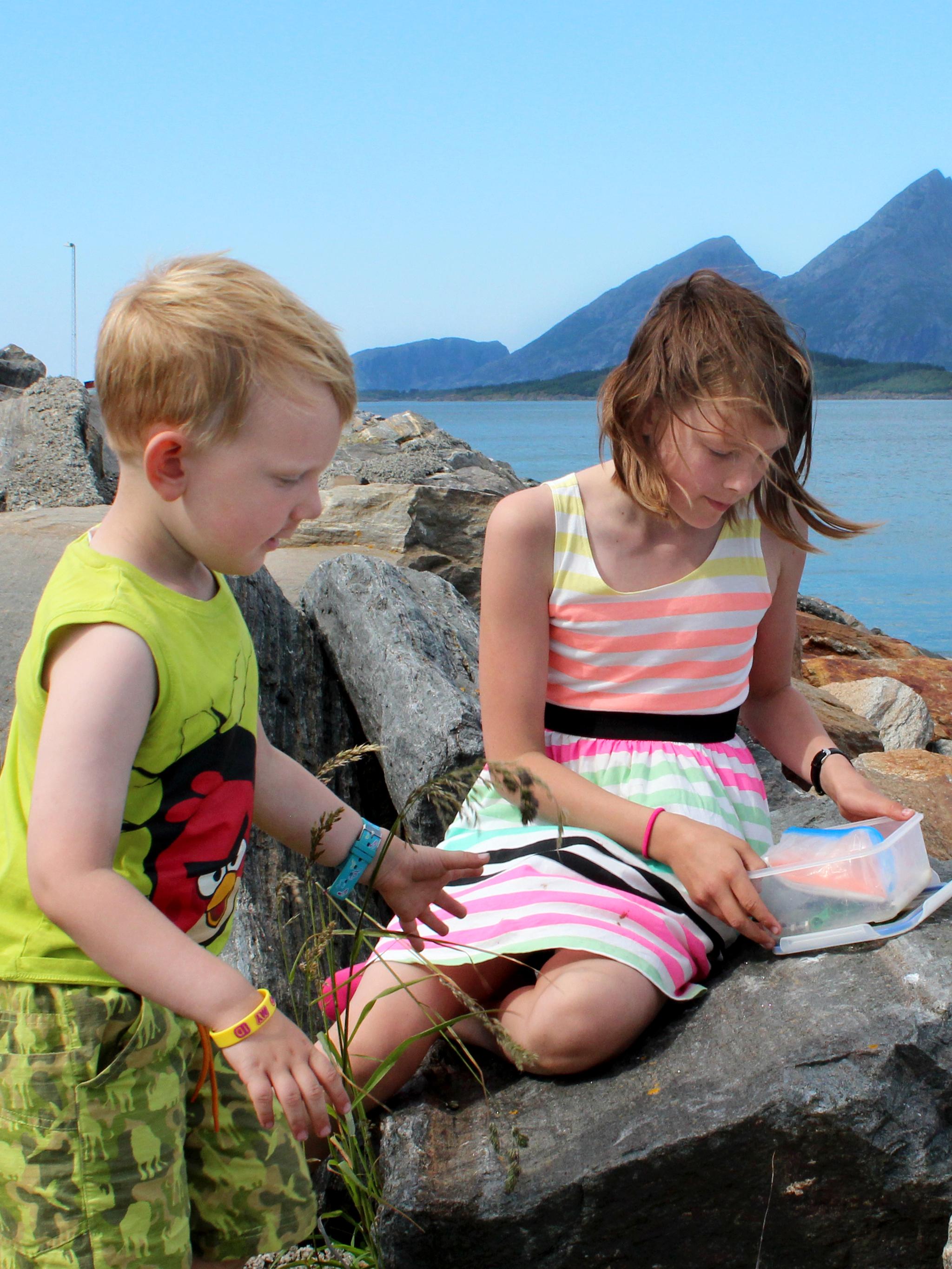 Two kids sitting on rocks next to the sea and try geocaching in Sandnessjøen in Nordland, Northern Norway