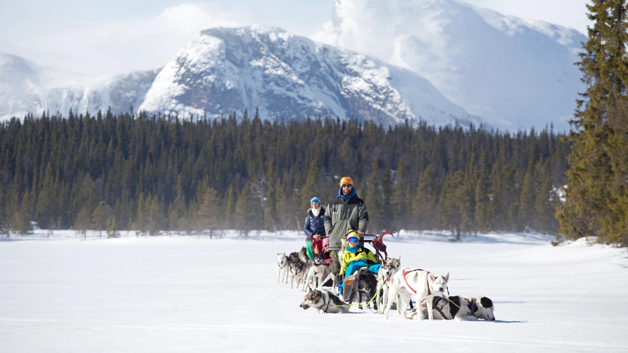 Hundspann i Hemsedal, Østlandet