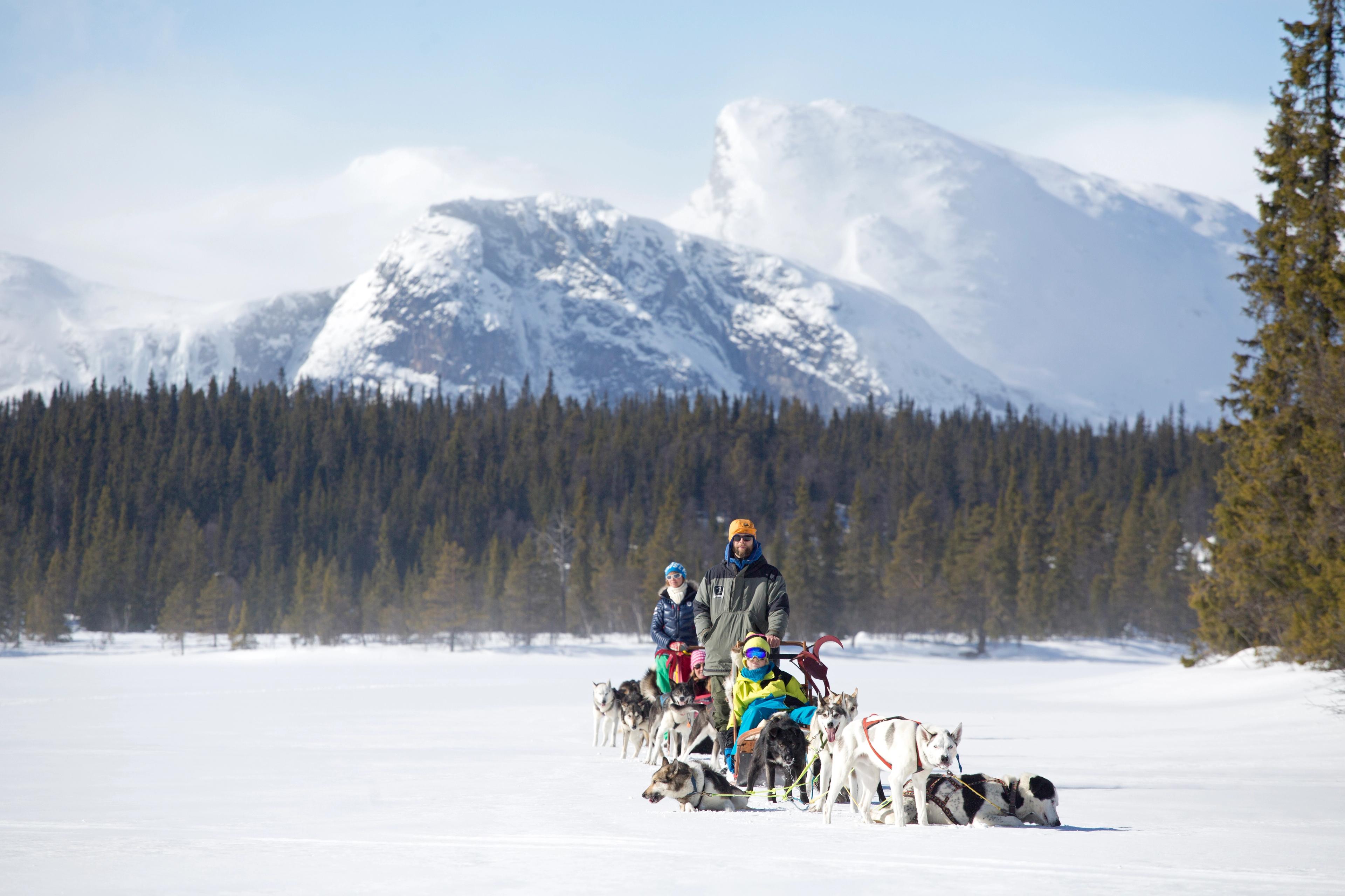 Dog sledging in Hemsedal, Eastern Norway