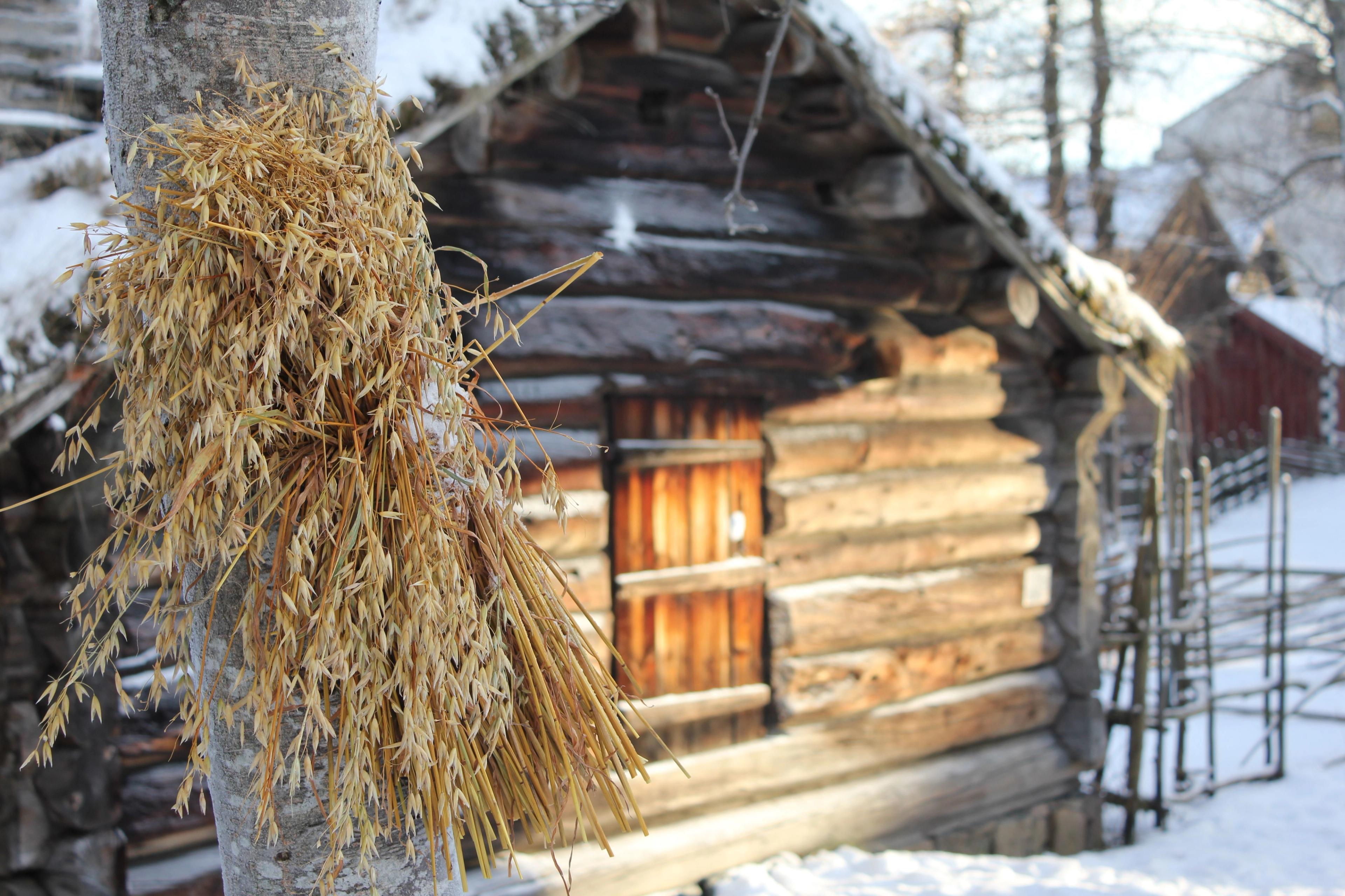 Julenek hengt opp på Norsk Folkemuseum