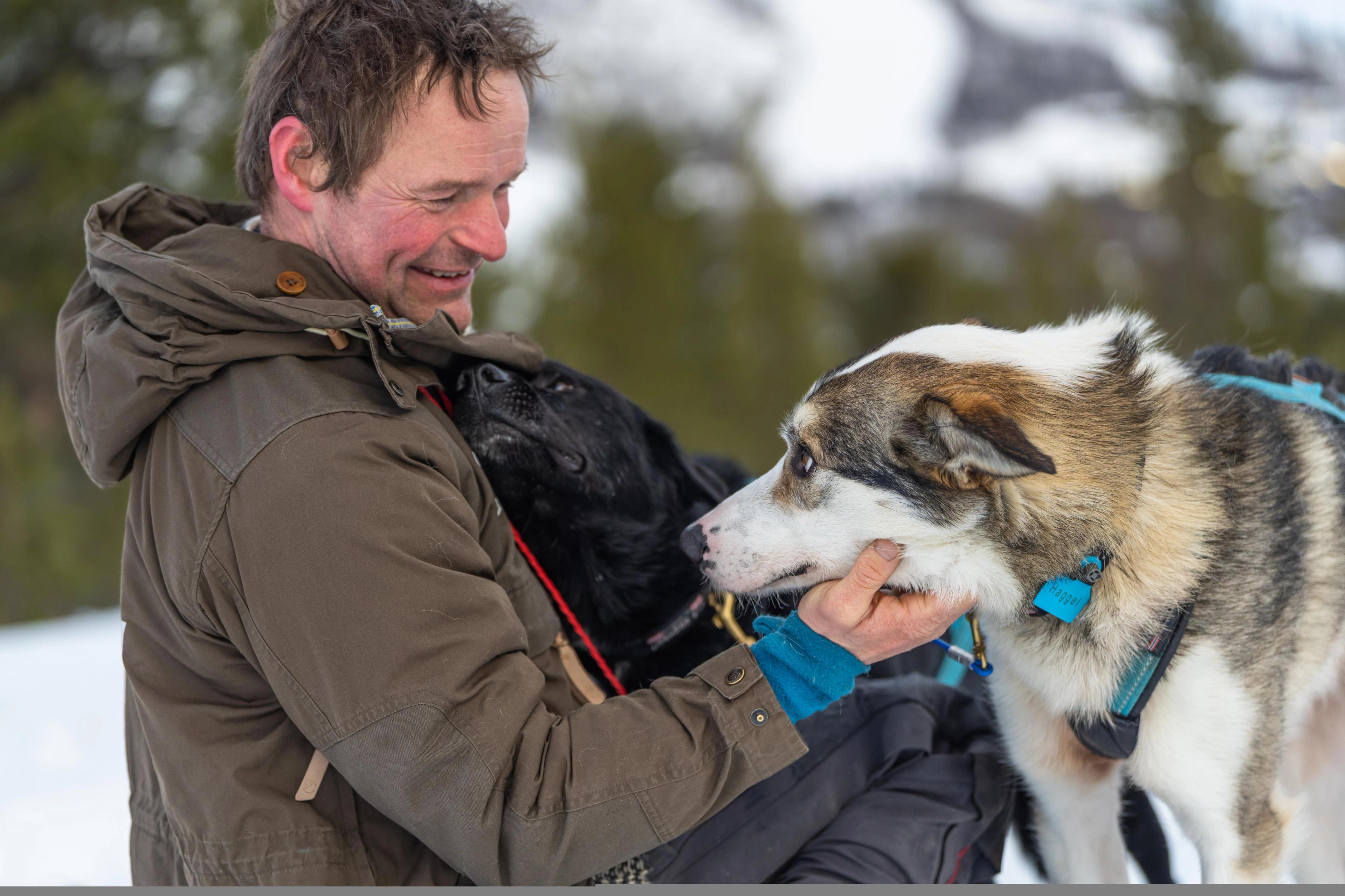 Mucher with his sled dogs at Geilo in winter.