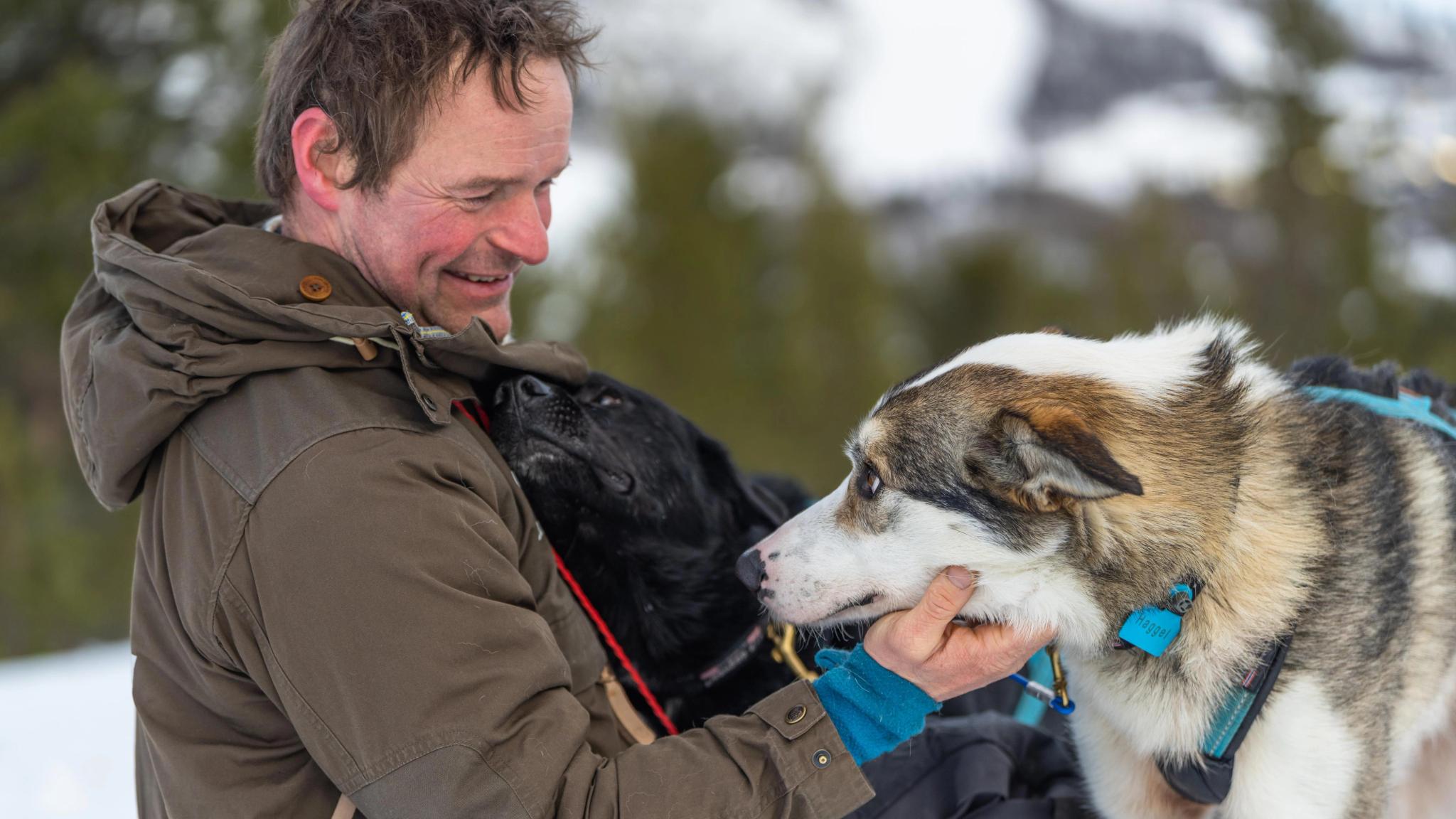 Mucher with his sled dogs at Geilo in winter.