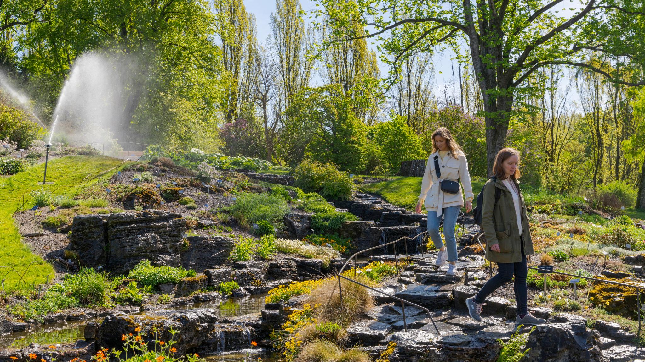 Friends walking in the Oslo Botanical Garden