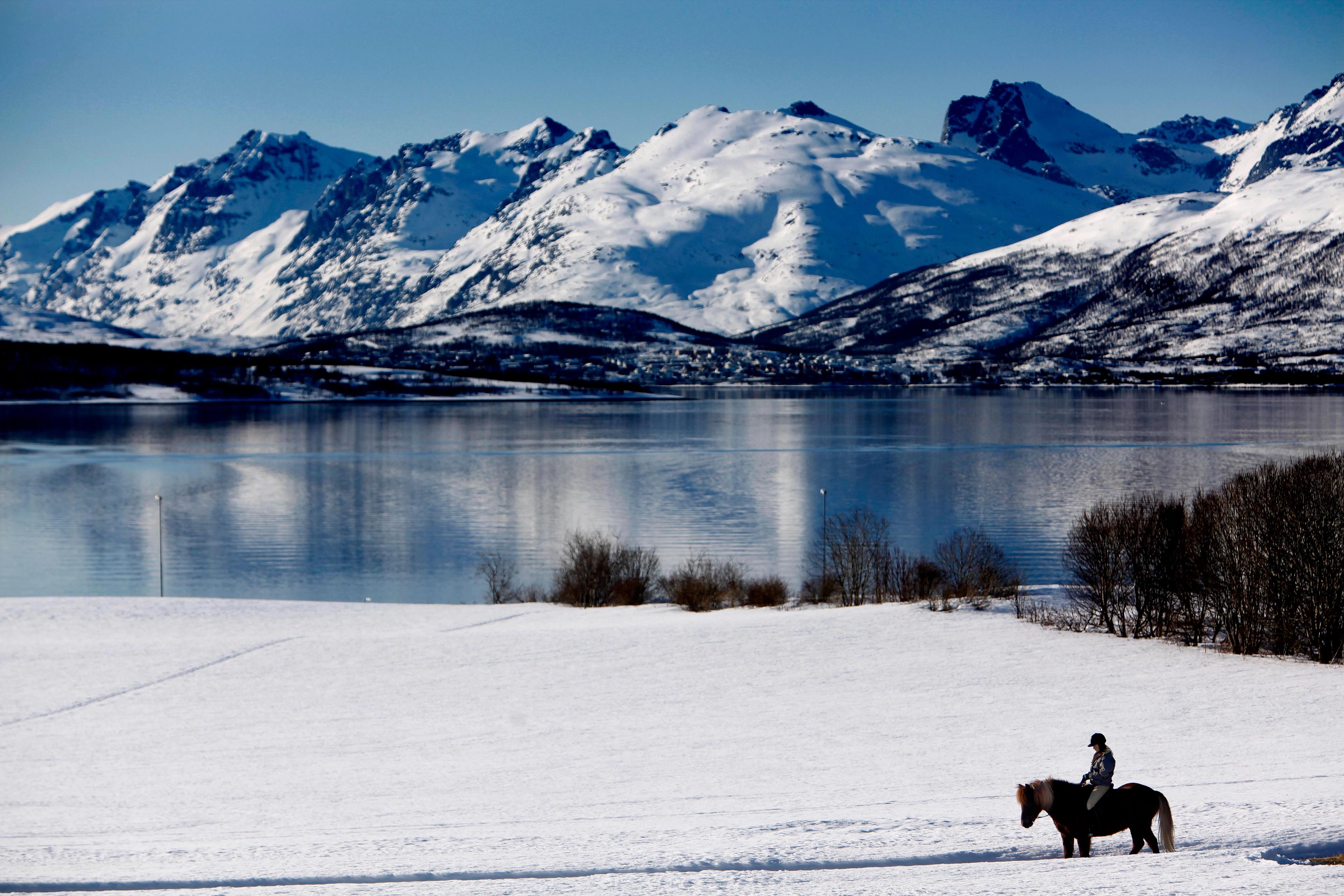 Ridetur i vinterlandskap utenfor Tromsø i Nord-Norge