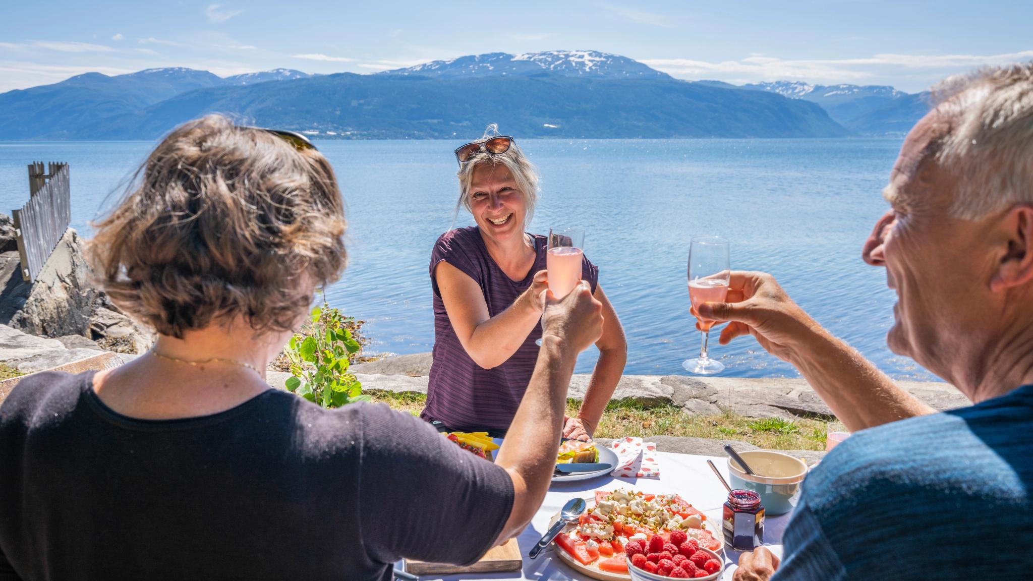 Strawberry picnic by the fjord