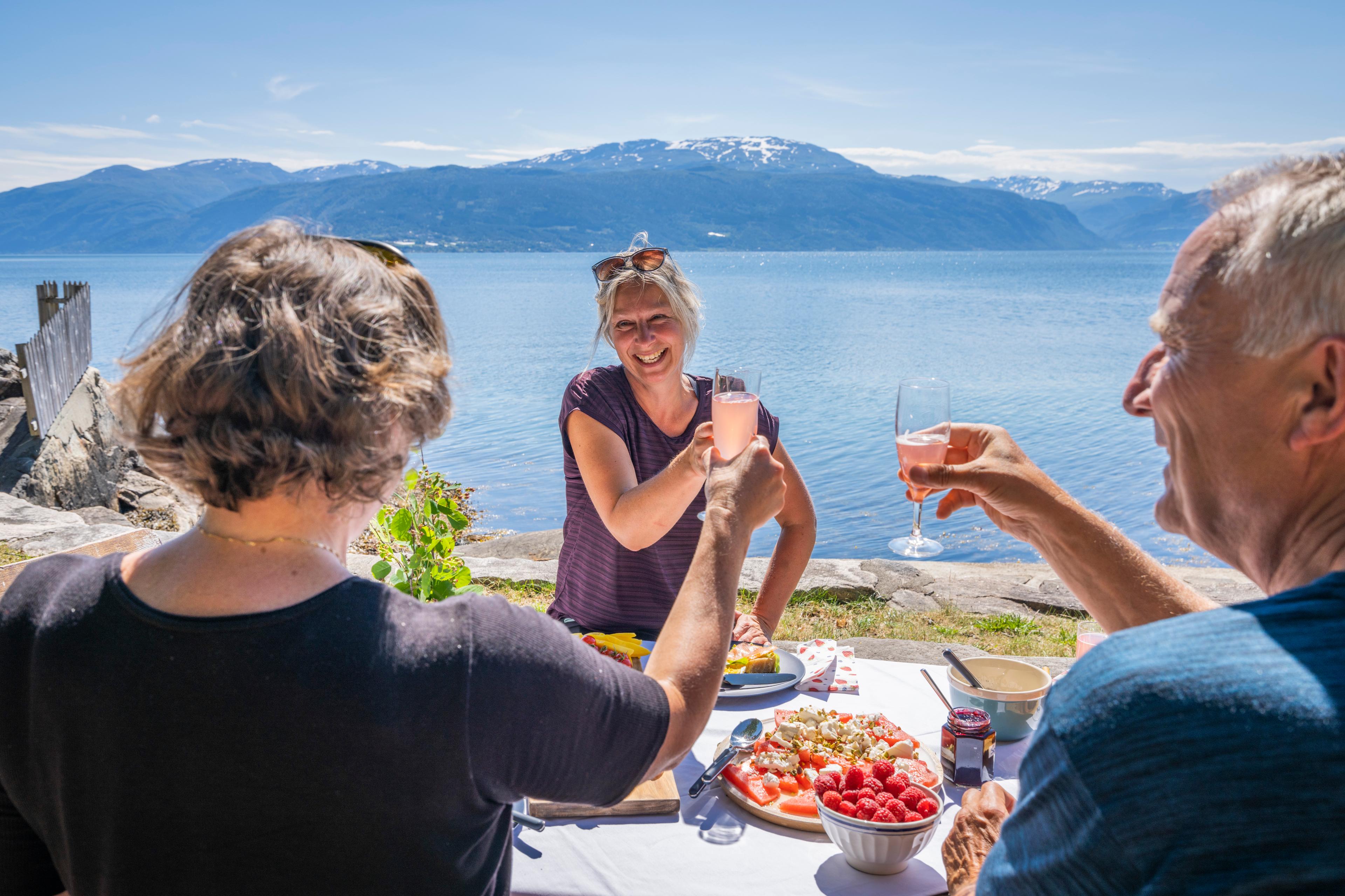 Strawberry picnic by the fjord
