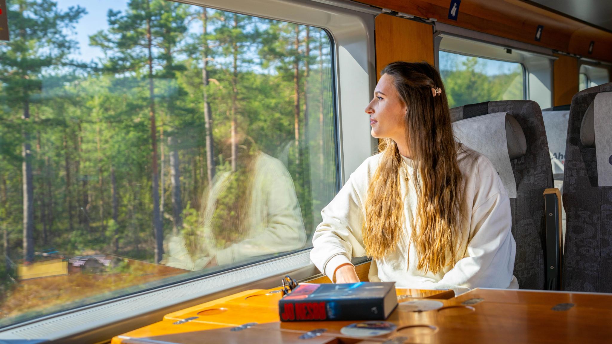 A woman sitting in the Sørland Line train, Norway.
