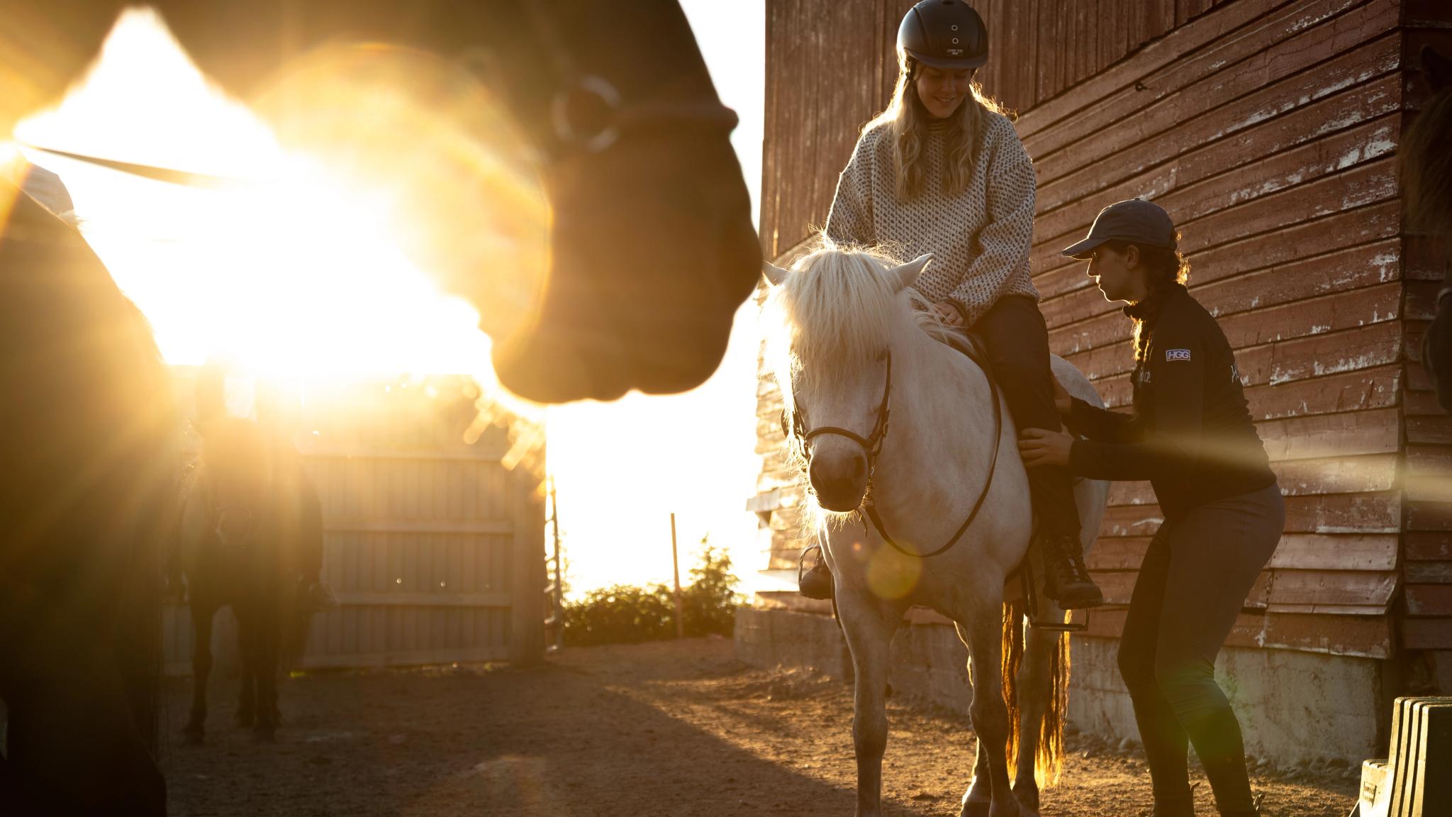To personer saler på hestene sine en nydelig høstdag i Lofoten i Nord-Norge